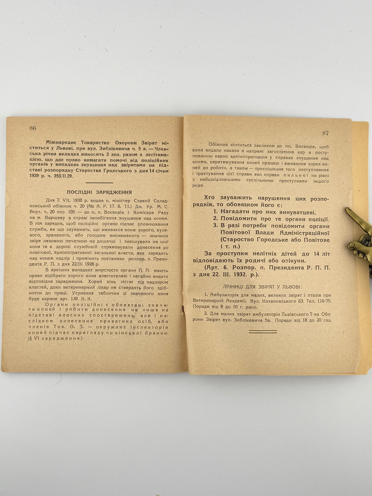 Дудкевич Валерія. Голубий хрест. Львів, 1938