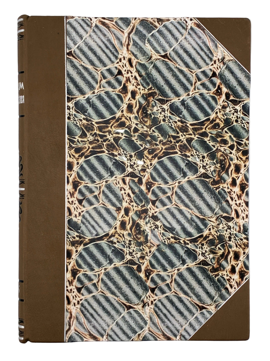 ОСИНКА ПАЛАДІЙ. АЛЬБУМ ПОЛІТВ’ЯЗНЯ [АУШВІЦ]. 1946