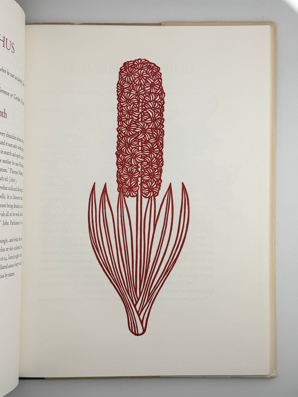 FLORA EXOTICA: A COLLECTION OF FLOWERING PLANTS. 1972
DEWOLF GORDON, HNIZDOVSKY JACQUES Бостон: David R. Godine. — 64 с.