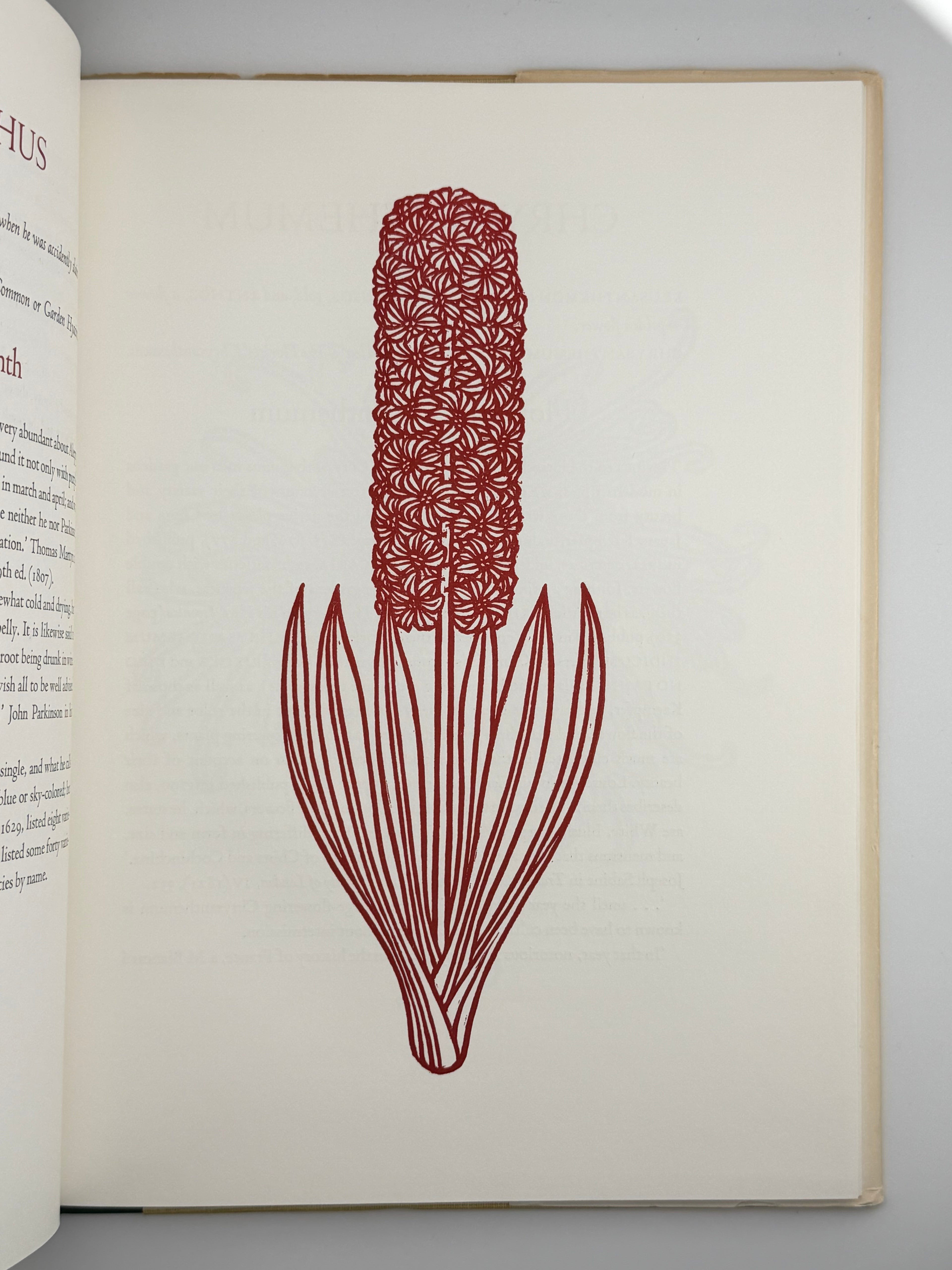 FLORA EXOTICA: A COLLECTION OF FLOWERING PLANTS. 1972
DEWOLF GORDON, HNIZDOVSKY JACQUES Бостон: David R. Godine. — 64 с.