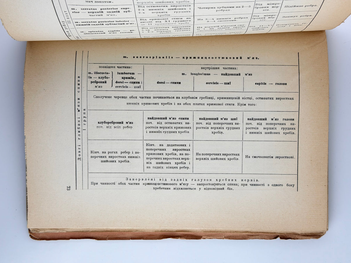 Павлічук М. Коротка анатомія: для студентів медицини. Ч. 1. Прага, 1925