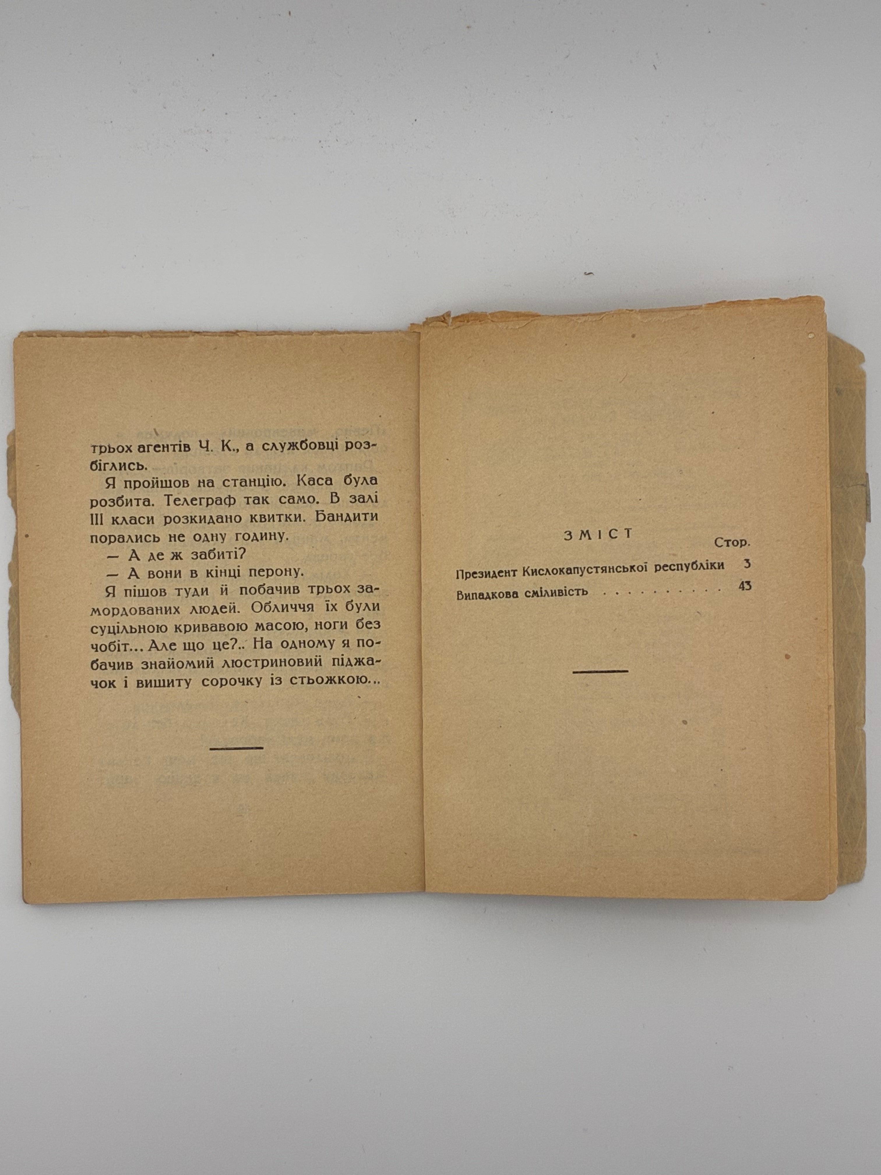 📕 ПРЕЗИДЕНТ КИСЛОКАПУСТЯНСЬКОЇ РЕСПУБЛІКИ / О. Слісаренко. Випадкова сміливість
📍 Харків: Видавництво «Український робітник», 1928. — 63–64 вип. «Дешева бібліотека красного письменства». — 48 с.