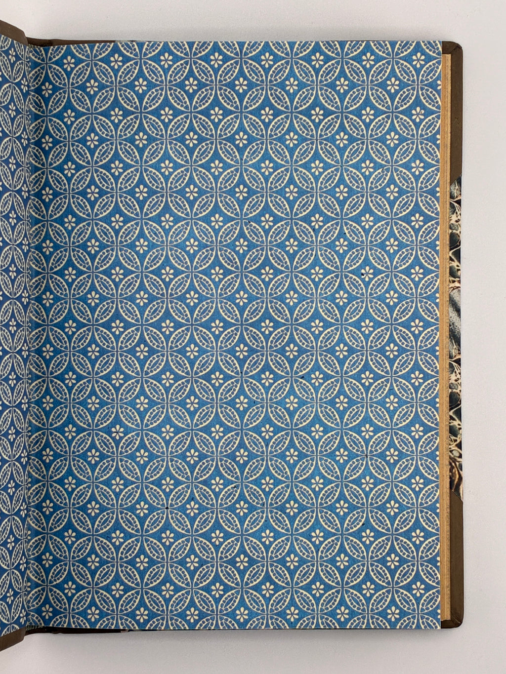 ОСИНКА ПАЛАДІЙ. АЛЬБУМ ПОЛІТВ’ЯЗНЯ [АУШВІЦ]. 1946