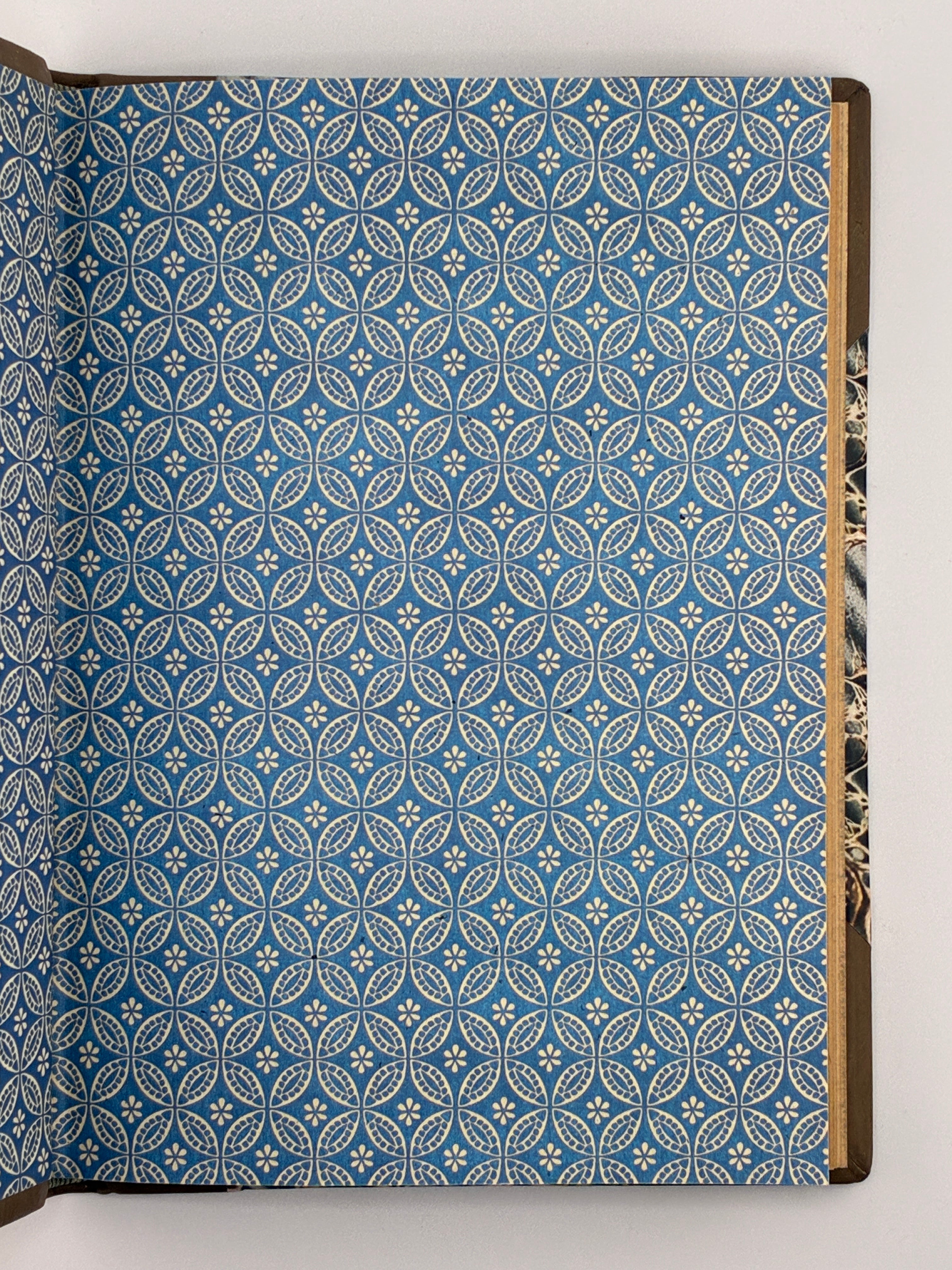 ОСИНКА ПАЛАДІЙ. АЛЬБУМ ПОЛІТВ’ЯЗНЯ [АУШВІЦ]. 1946