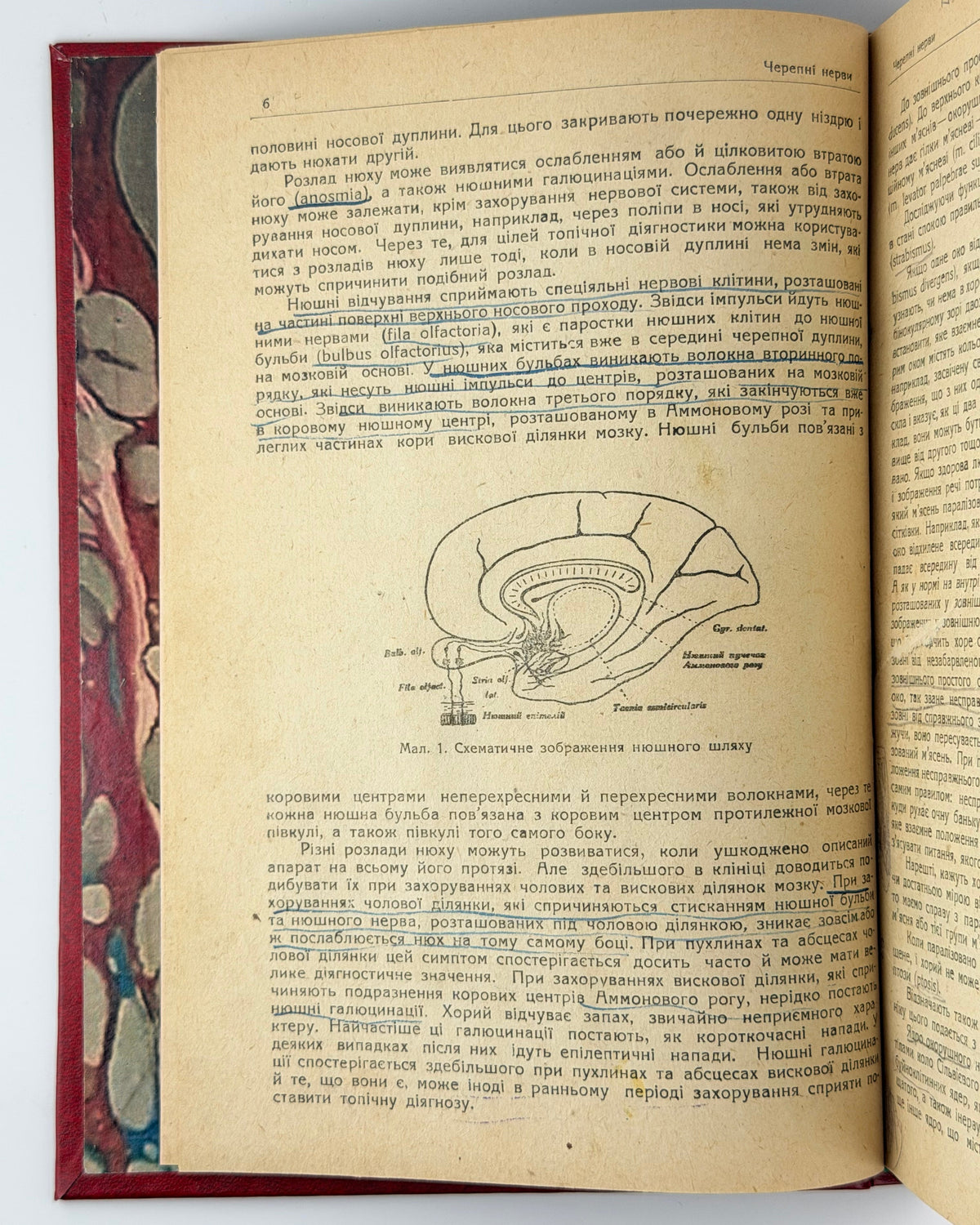 Ґрінштейн О. М. Нервові хороби. [Харків]: Медвидав, 1932 — фото примірника