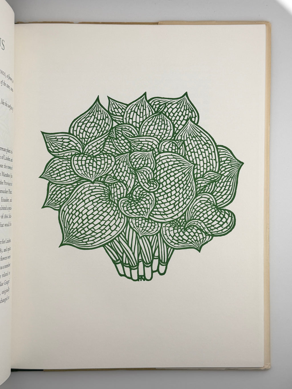 FLORA EXOTICA: A COLLECTION OF FLOWERING PLANTS. 1972
DEWOLF GORDON, HNIZDOVSKY JACQUES Бостон: David R. Godine. — 64 с.