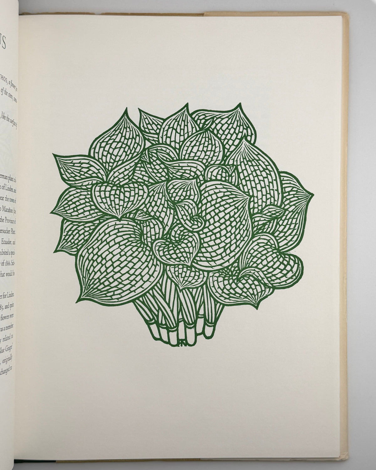 ДеВольф Гордон, Гніздовський Яків. Flora Exotica: a Collection of Flowering Plants. Бостон, 1972