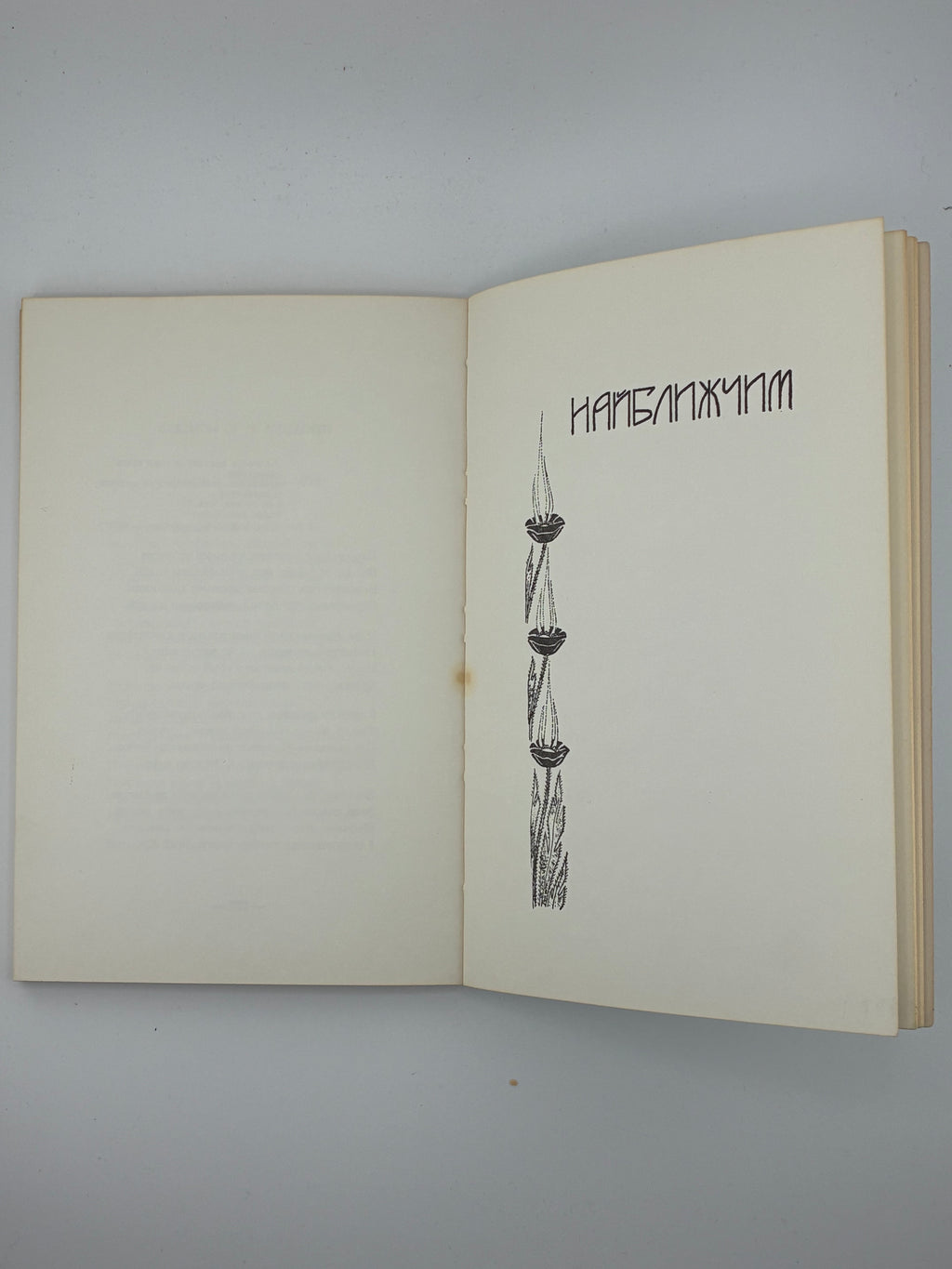 📕 Леся Храплива — Далеким і близьким
 Нью-Йорк: накладом автора, друк у друкарні Гартур, 1972.