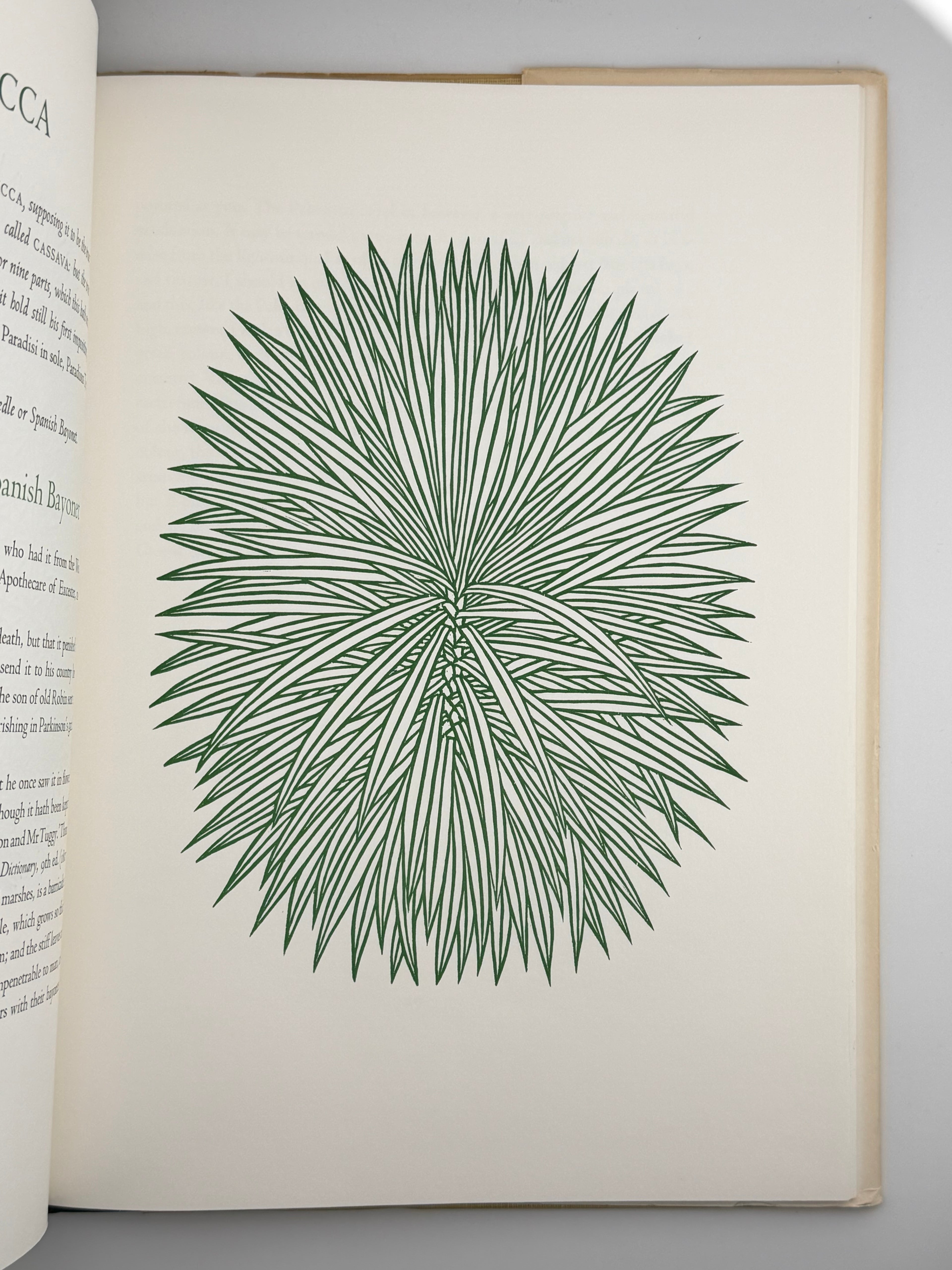 FLORA EXOTICA: A COLLECTION OF FLOWERING PLANTS. 1972
DEWOLF GORDON, HNIZDOVSKY JACQUES Бостон: David R. Godine. — 64 с.