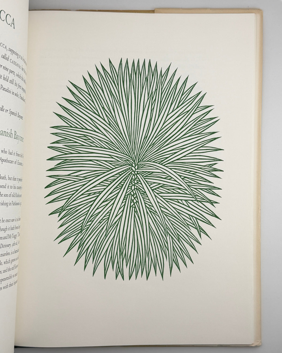 ДеВольф Гордон, Гніздовський Яків. Flora Exotica: a Collection of Flowering Plants. Бостон, 1972