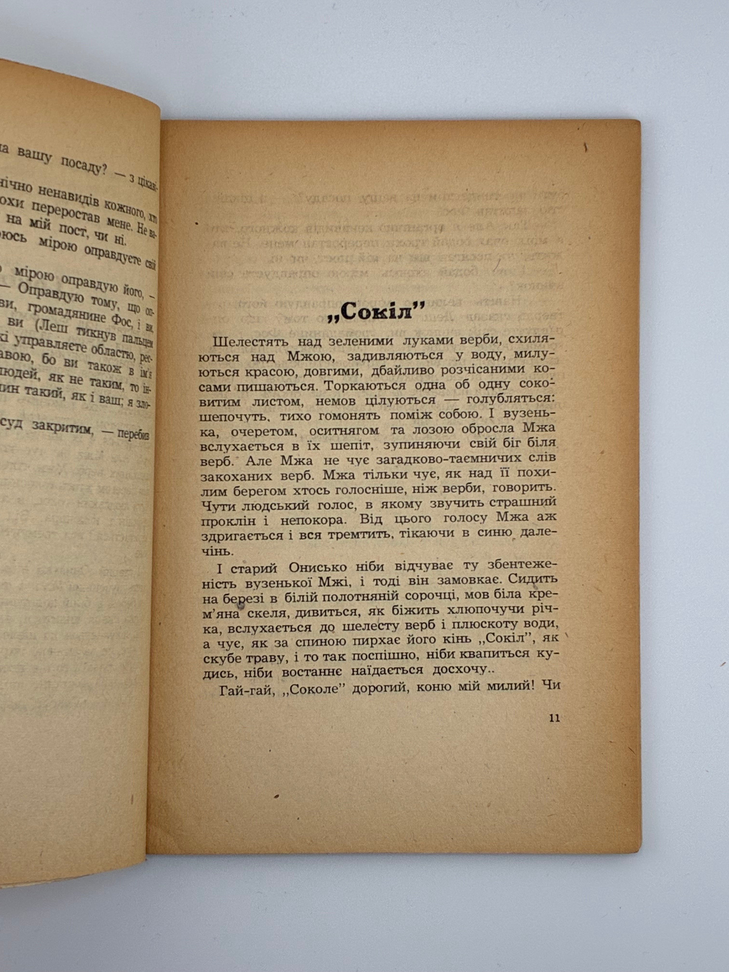 📕 ПЕТРО КІЗКО. НА СКРИВАВЛЕНІЙ ЗЕМЛІ. Новелі.
📍 Мюнхен: Українська Видавнича Спілка, 1952.