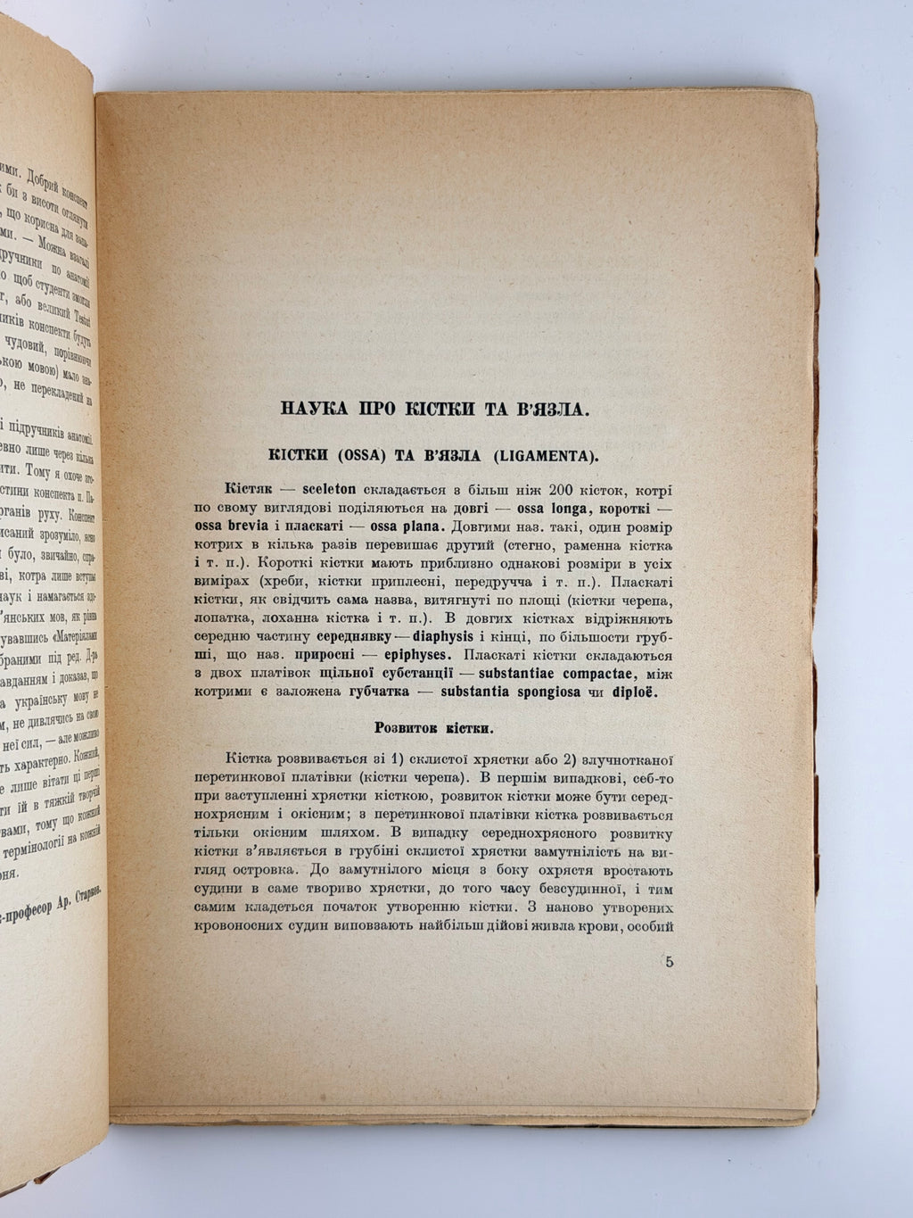 Павлічук М. Коротка анатомія: для студентів медицини. Ч. 1. Прага, 1925