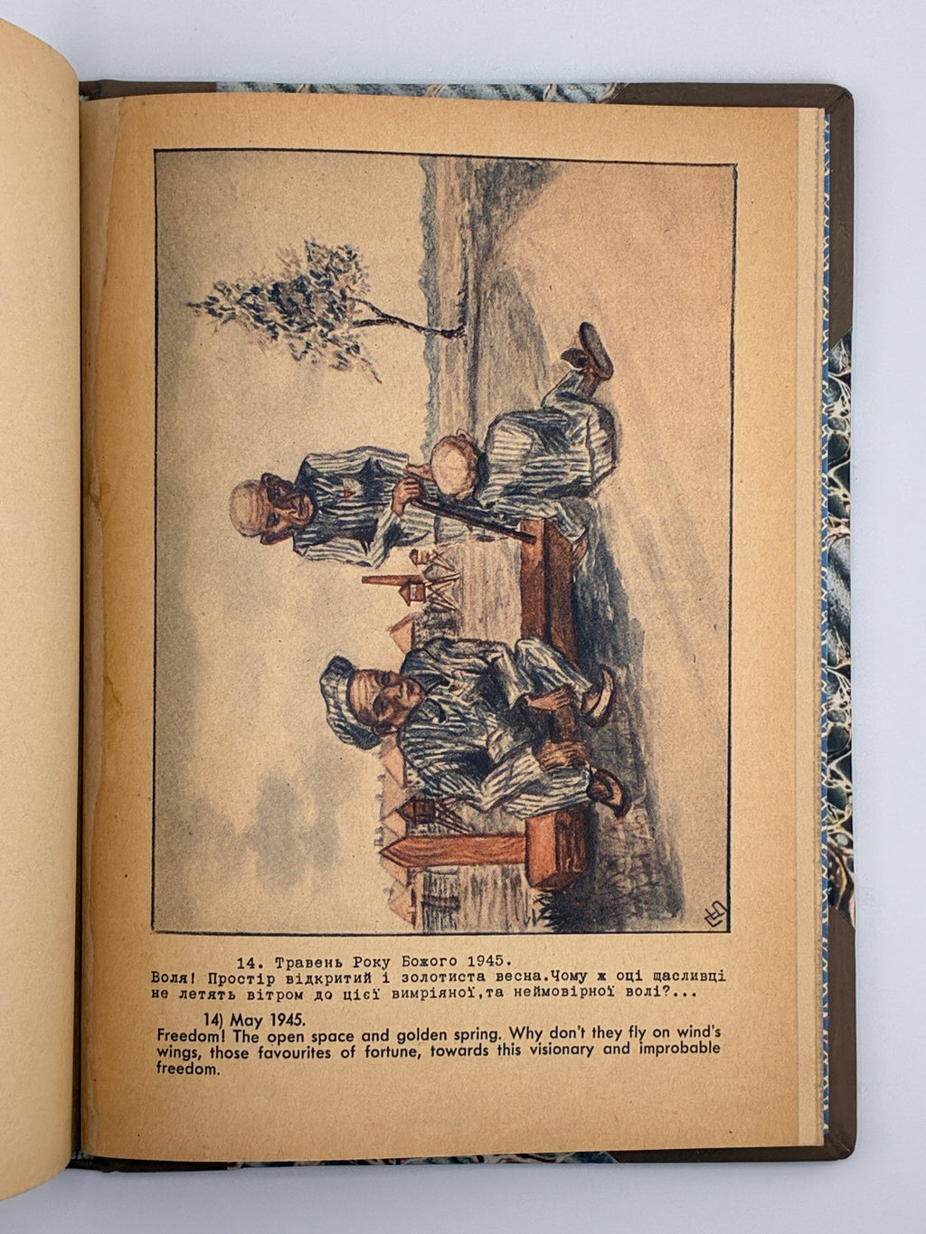 ОСИНКА ПАЛАДІЙ. АЛЬБУМ ПОЛІТВ’ЯЗНЯ [АУШВІЦ]. 1946