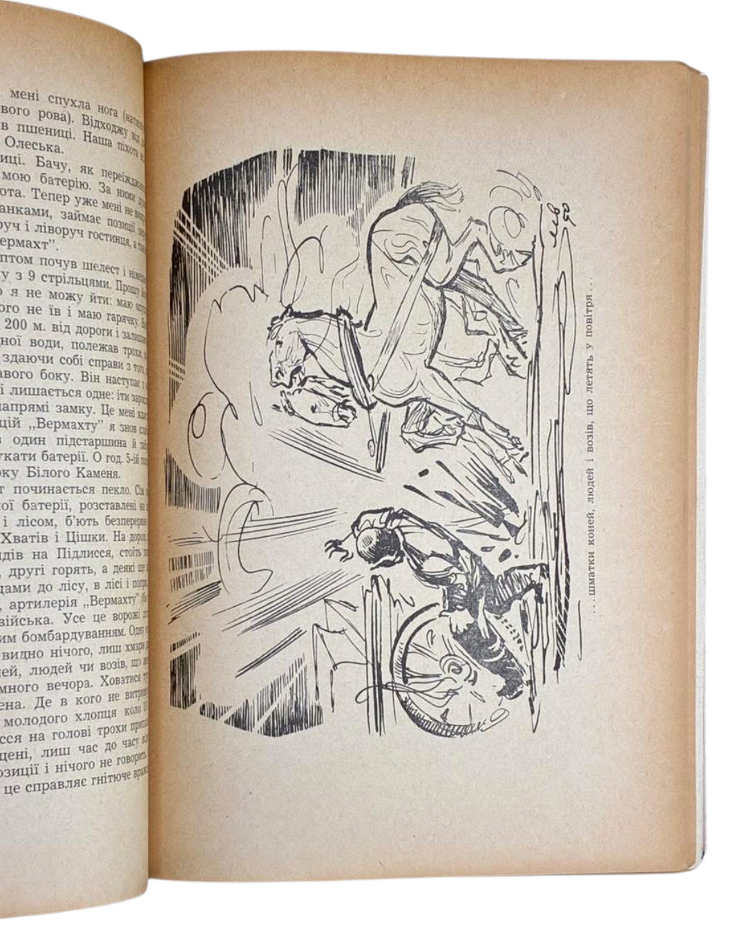 Броди. Збірник статтей і нарисів. Ред. О. Лисяк, 1951