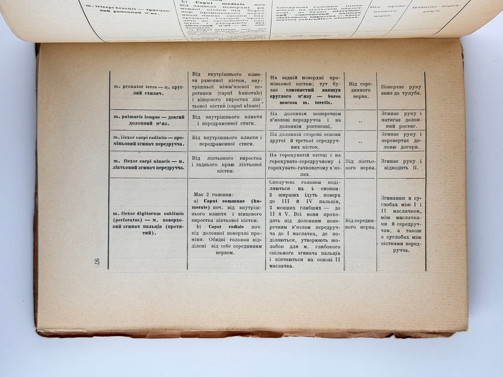 Павлічук М. Коротка анатомія: для студентів медицини. Ч. 1. Прага, 1925