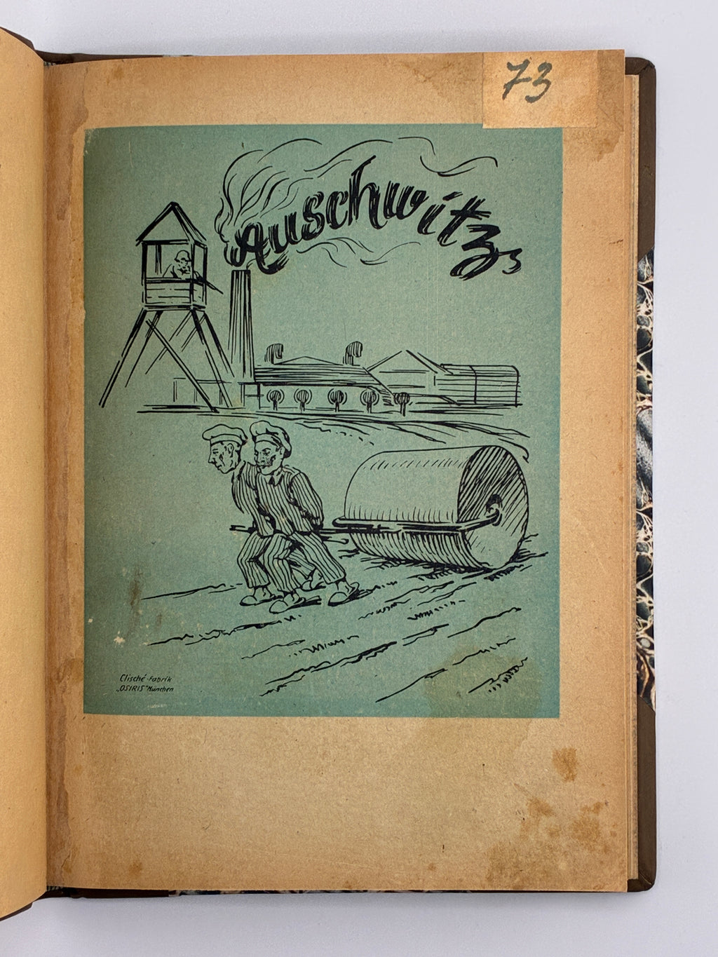 ОСИНКА ПАЛАДІЙ. АЛЬБУМ ПОЛІТВ’ЯЗНЯ [АУШВІЦ]. 1946