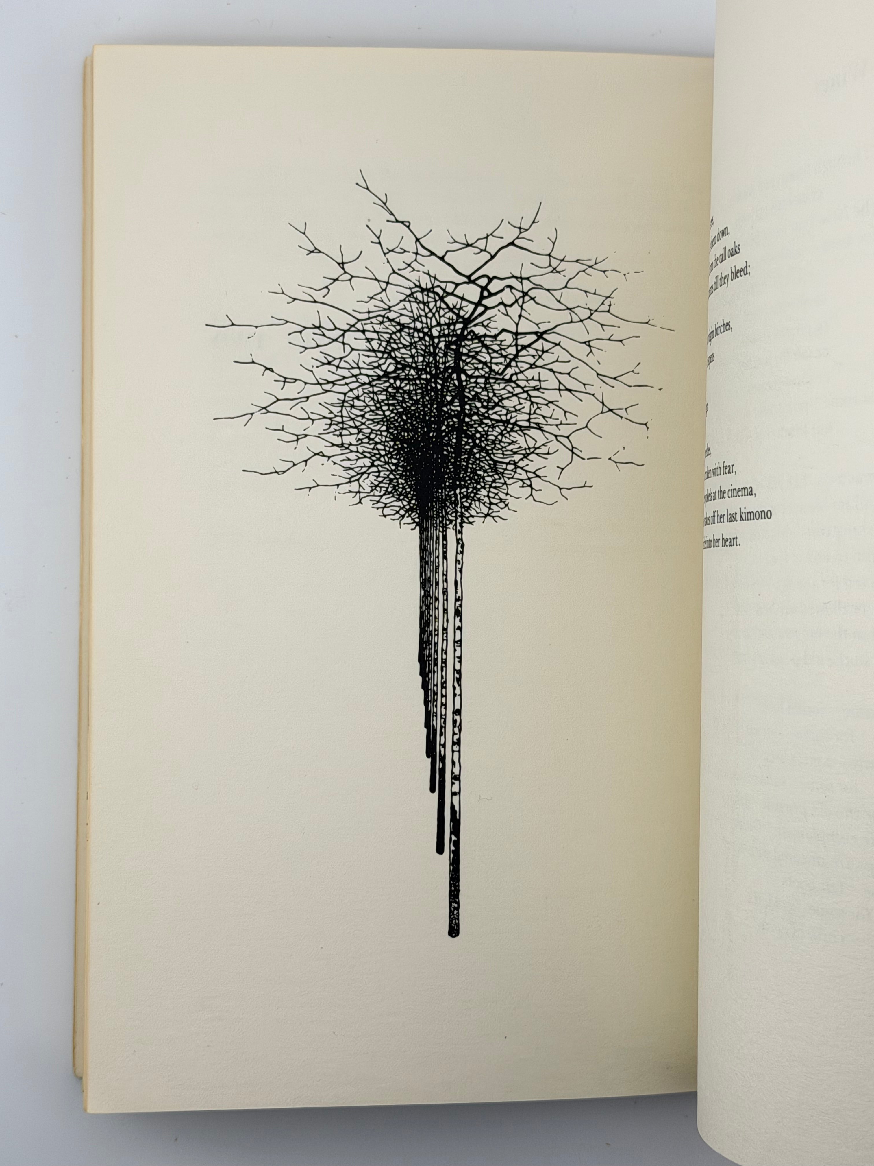 ORCHARD LAMPS. 1978
ДРАЧ ІВАН