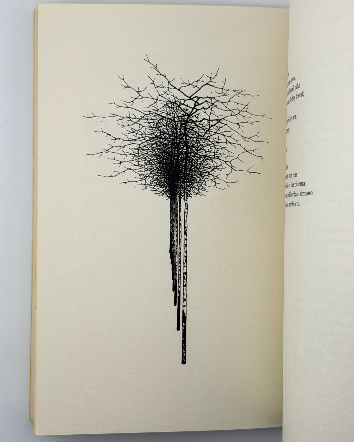 Драч Іван. Orchard Lamps. Нью-Йорк, 1978