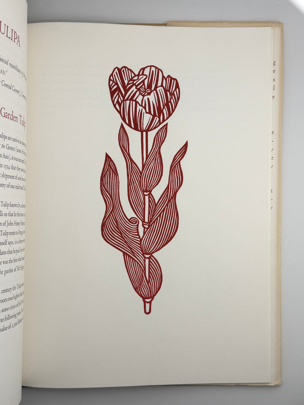 FLORA EXOTICA: A COLLECTION OF FLOWERING PLANTS. 1972
DEWOLF GORDON, HNIZDOVSKY JACQUES Бостон: David R. Godine. — 64 с.