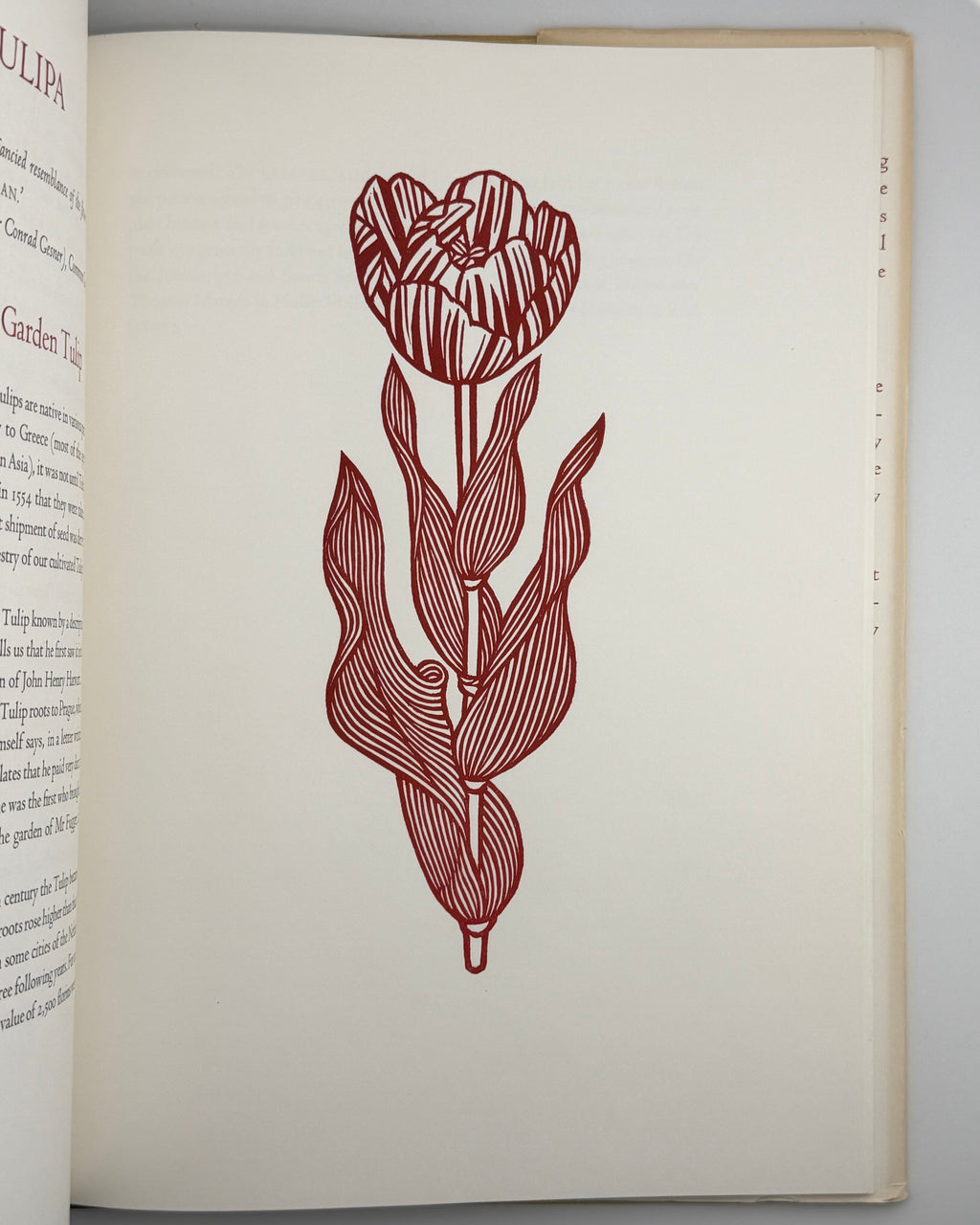ДеВольф Гордон, Гніздовський Яків. Flora Exotica: a Collection of Flowering Plants. Бостон, 1972