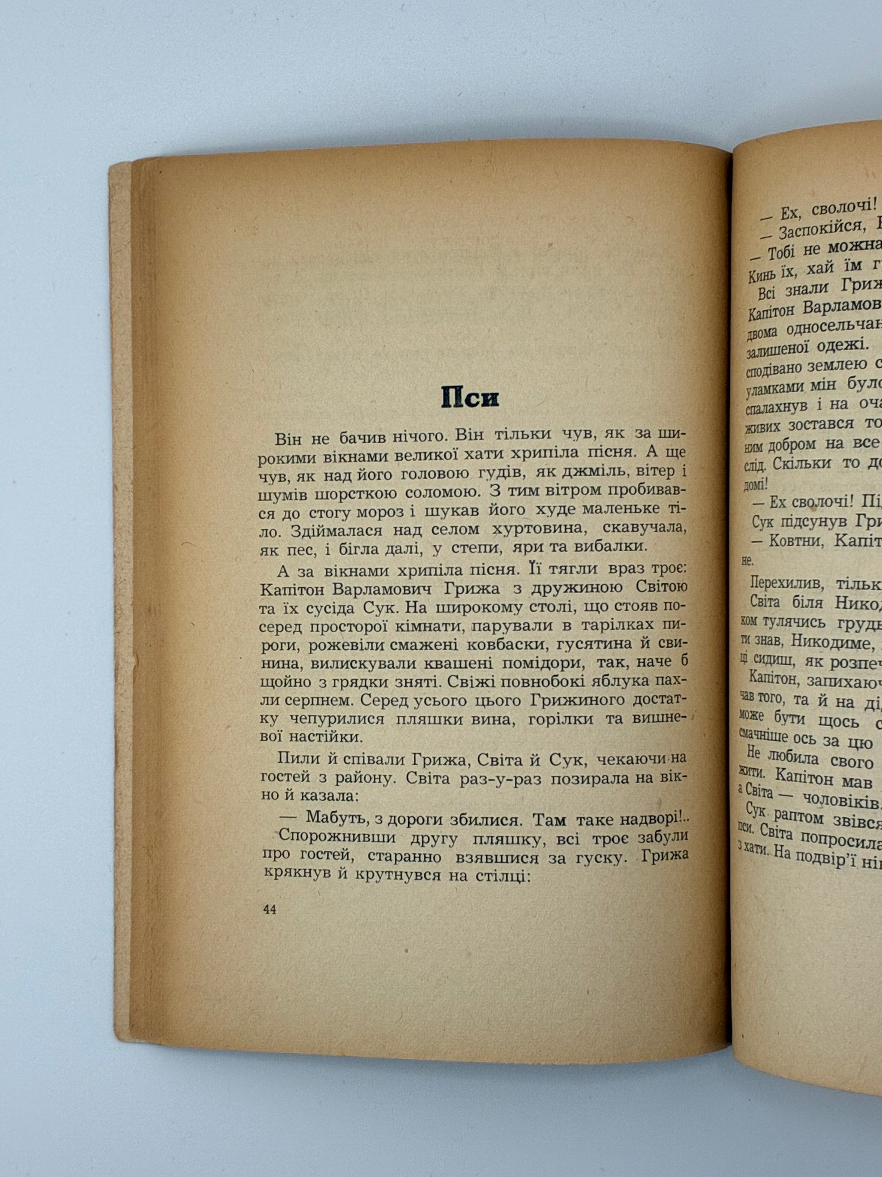 📕 ПЕТРО КІЗКО. НА СКРИВАВЛЕНІЙ ЗЕМЛІ. Новелі.
📍 Мюнхен: Українська Видавнича Спілка, 1952.
