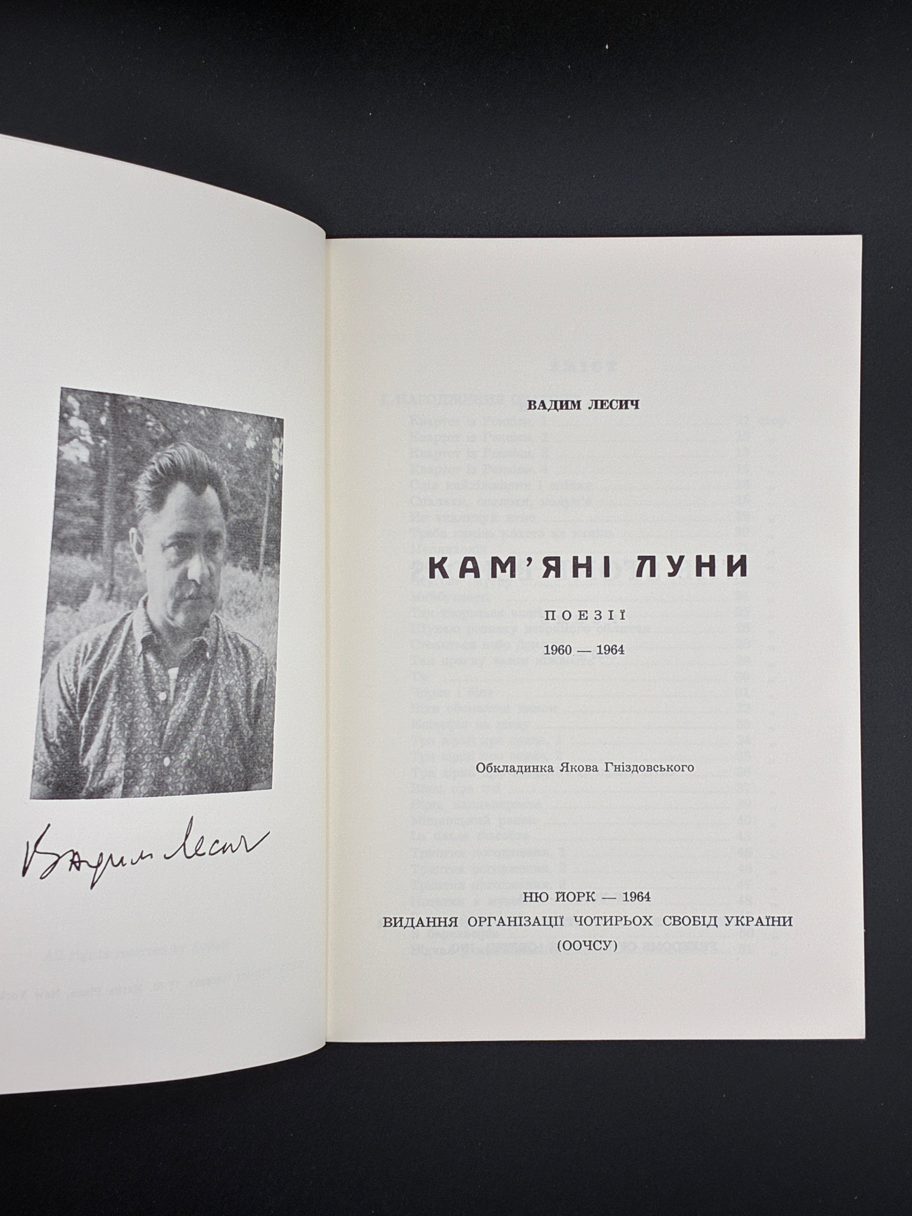 Вадим Лесич. Кам’яні луни.
Нью-Йорк: Видання Організації Чотирьох Свобод України, 1964
Обкладинка: художнє оформлення (Яків Гніздовський)