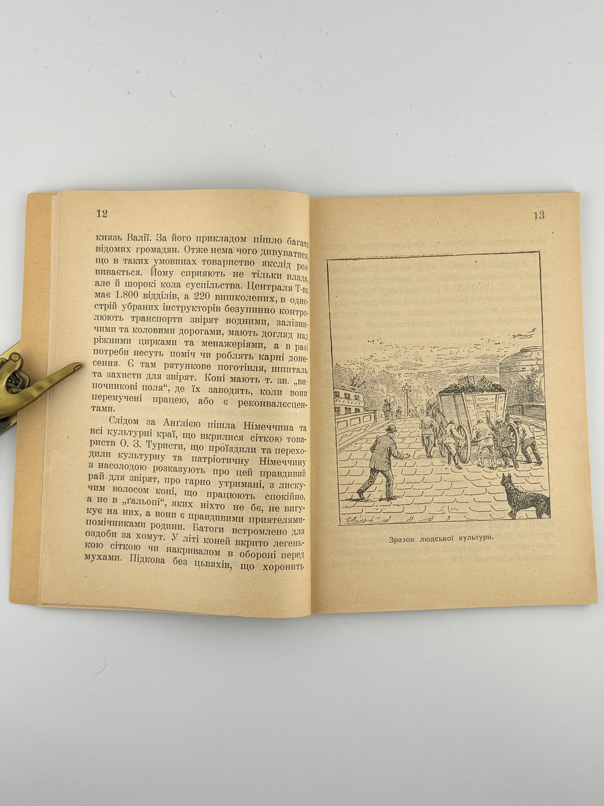 Дудкевич Валерія. Голубий хрест. Львів, 1938