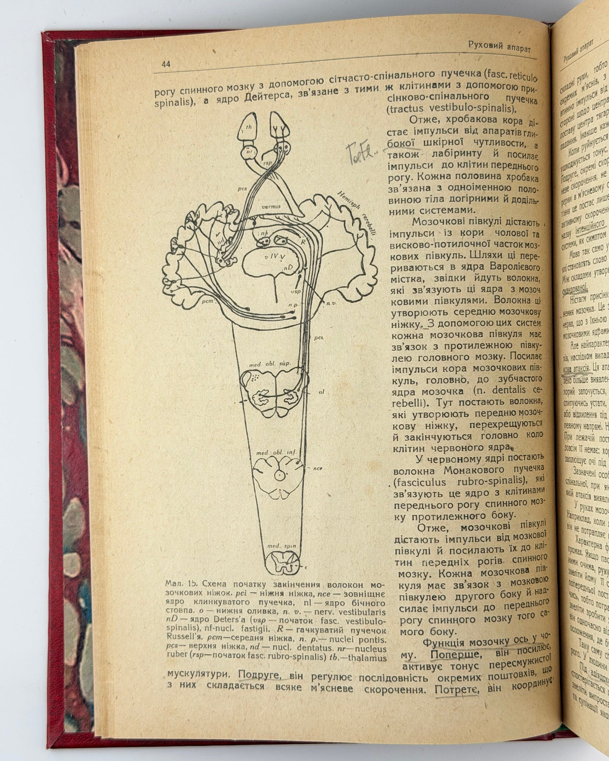 Ґрінштейн О. М. Нервові хороби. [Харків]: Медвидав, 1932 — фото примірника