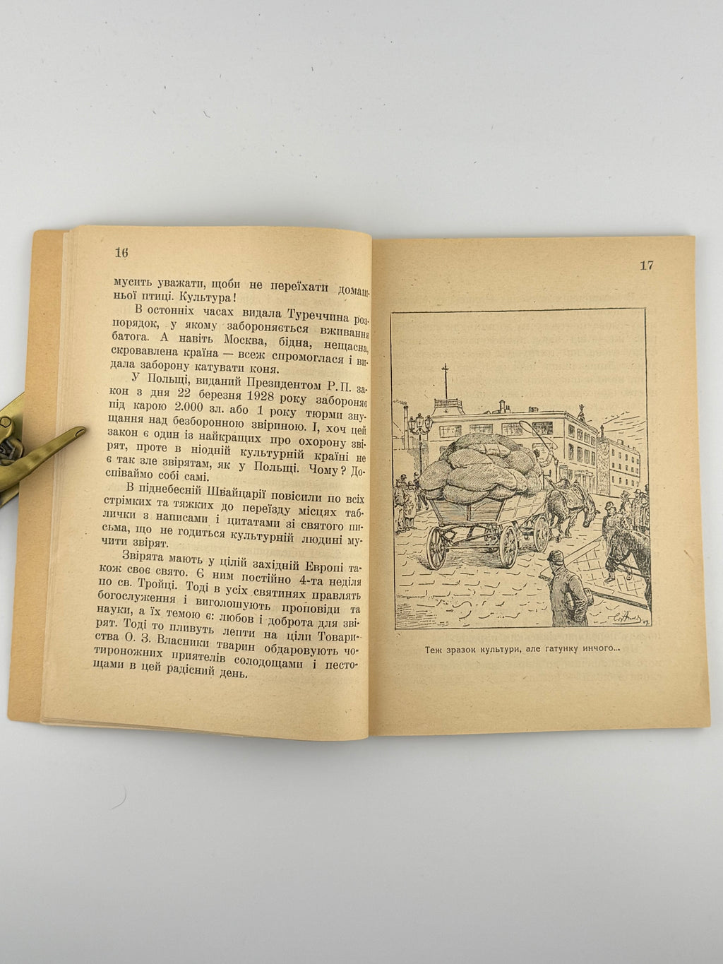 Дудкевич Валерія. Голубий хрест. Львів, 1938