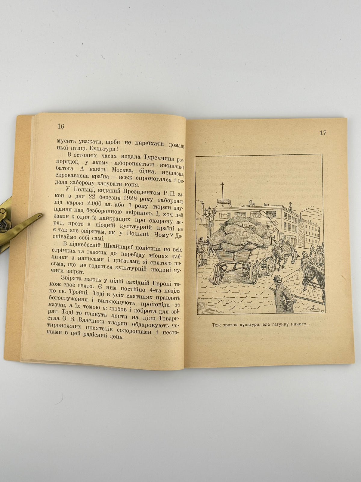 Дудкевич Валерія. Голубий хрест. Львів, 1938