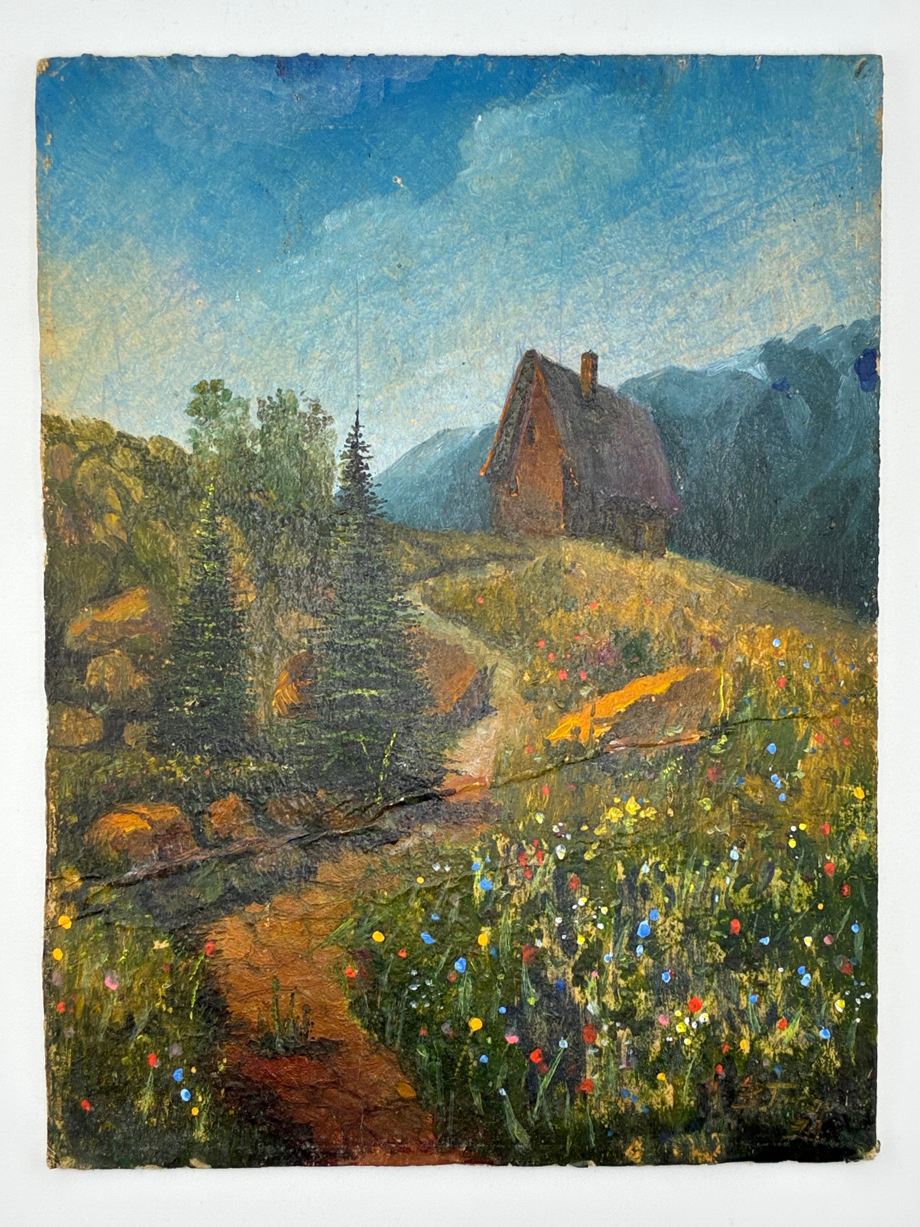 🎨 БУДИНОК У ГОРАХ