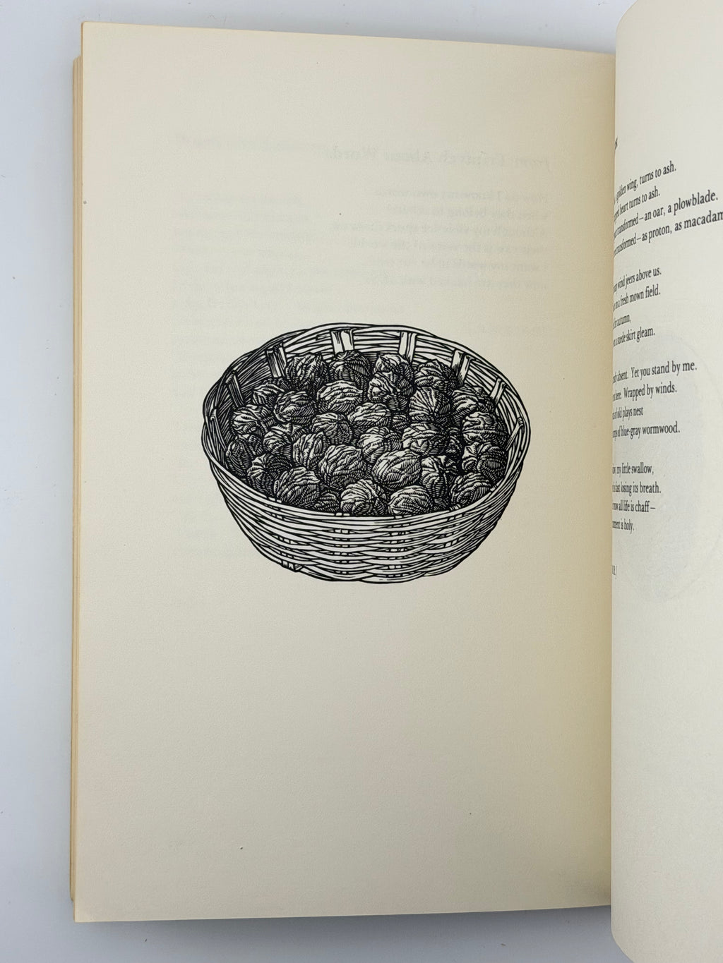 ORCHARD LAMPS. 1978
ДРАЧ ІВАН