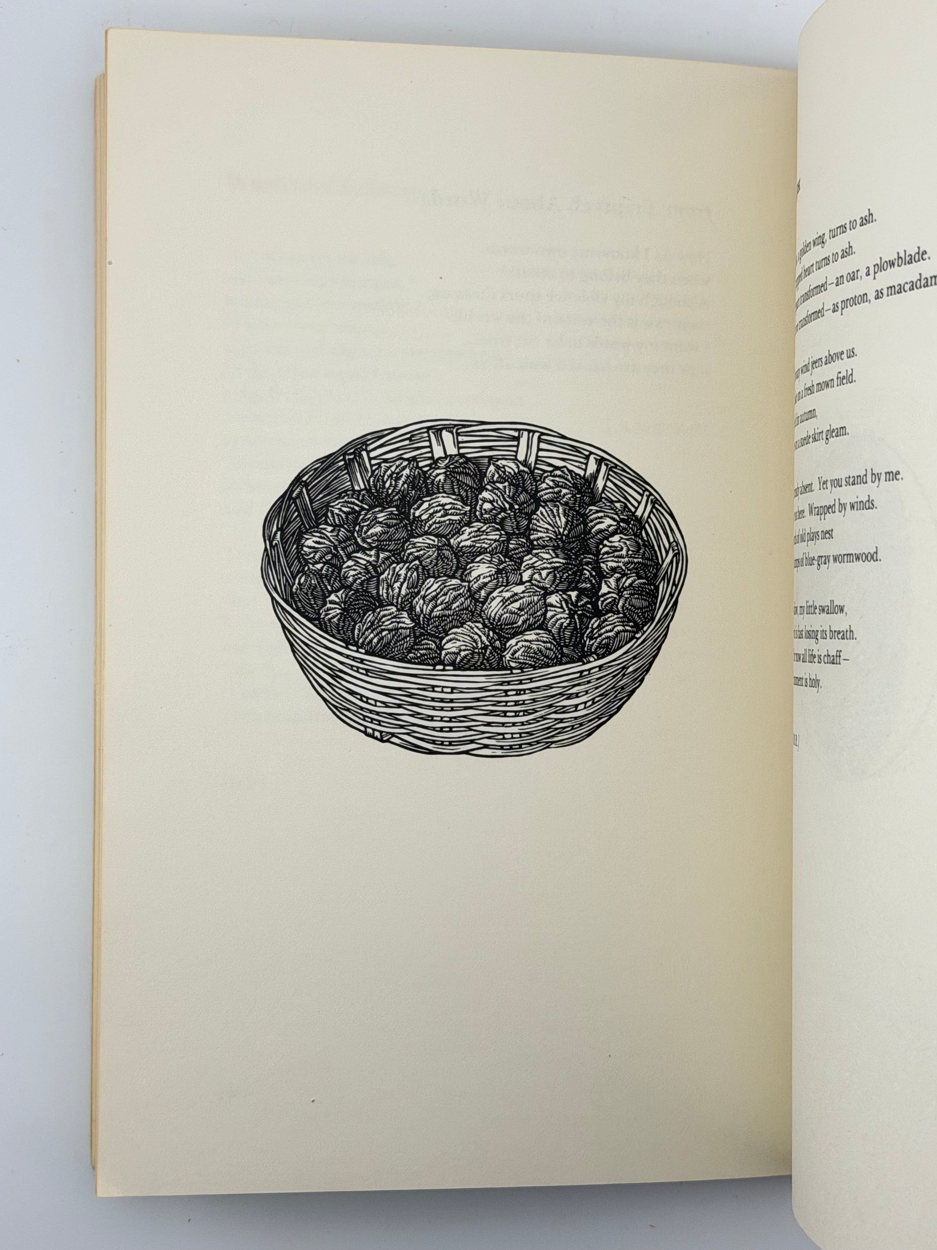 ORCHARD LAMPS. 1978
ДРАЧ ІВАН