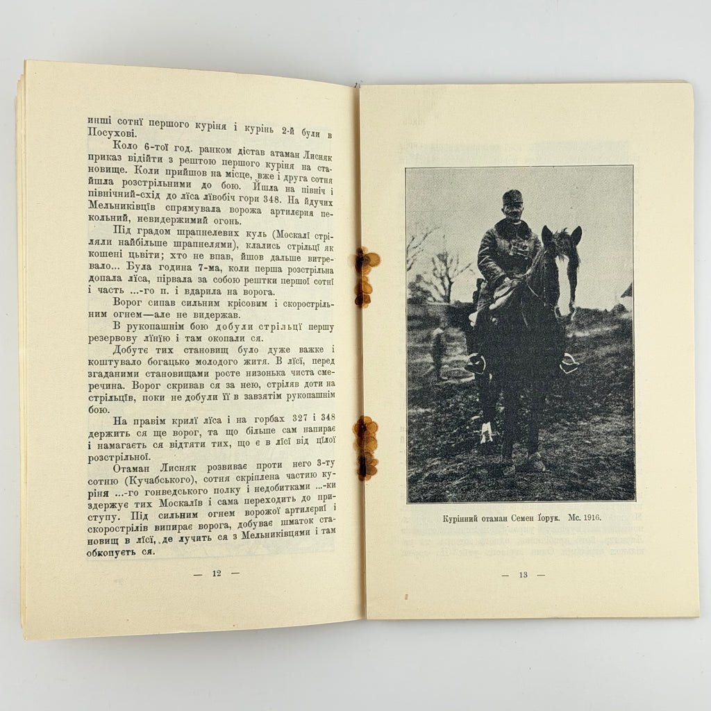 ДЗІКОВСЬКИЙ В. КОЛО ПОТУТОР (13.VIII–30.IX.1916). Бібліотека Центральної Управи Українських Січових Стрільців. Ч. 3.
Відень: Накладом Центральної Управи Українських Січових Стрільців, 1917