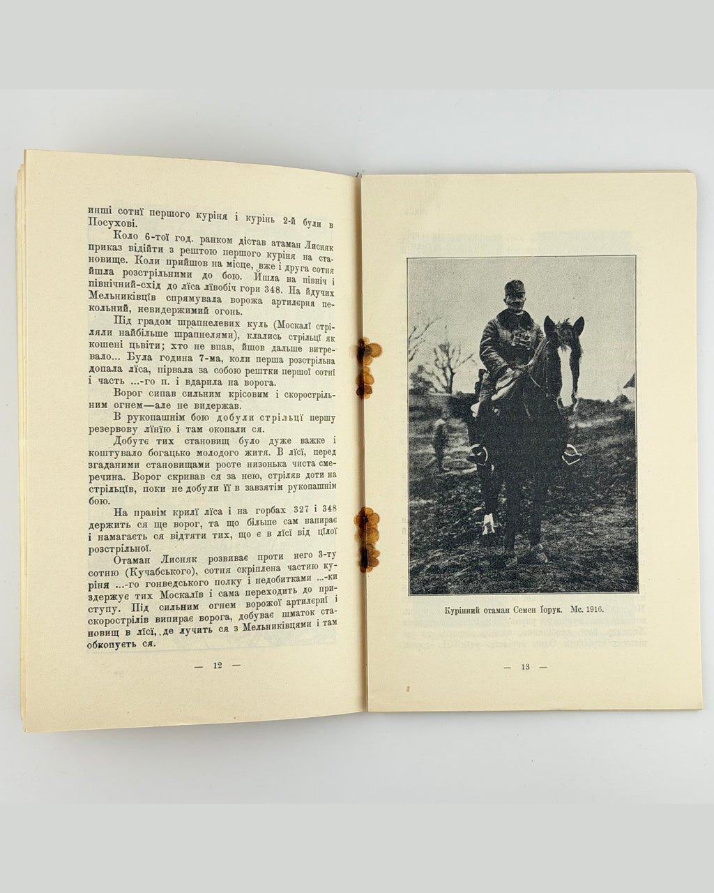 Дзіковський В. Коло Потутор, 13.VIII–30.IX.1916. Відень, 1917