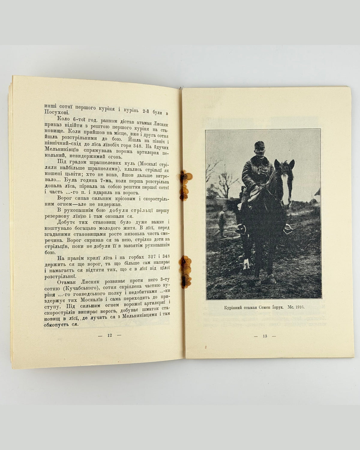 Дзіковський В. Коло Потутор, 13.VIII–30.IX.1916. Відень, 1917