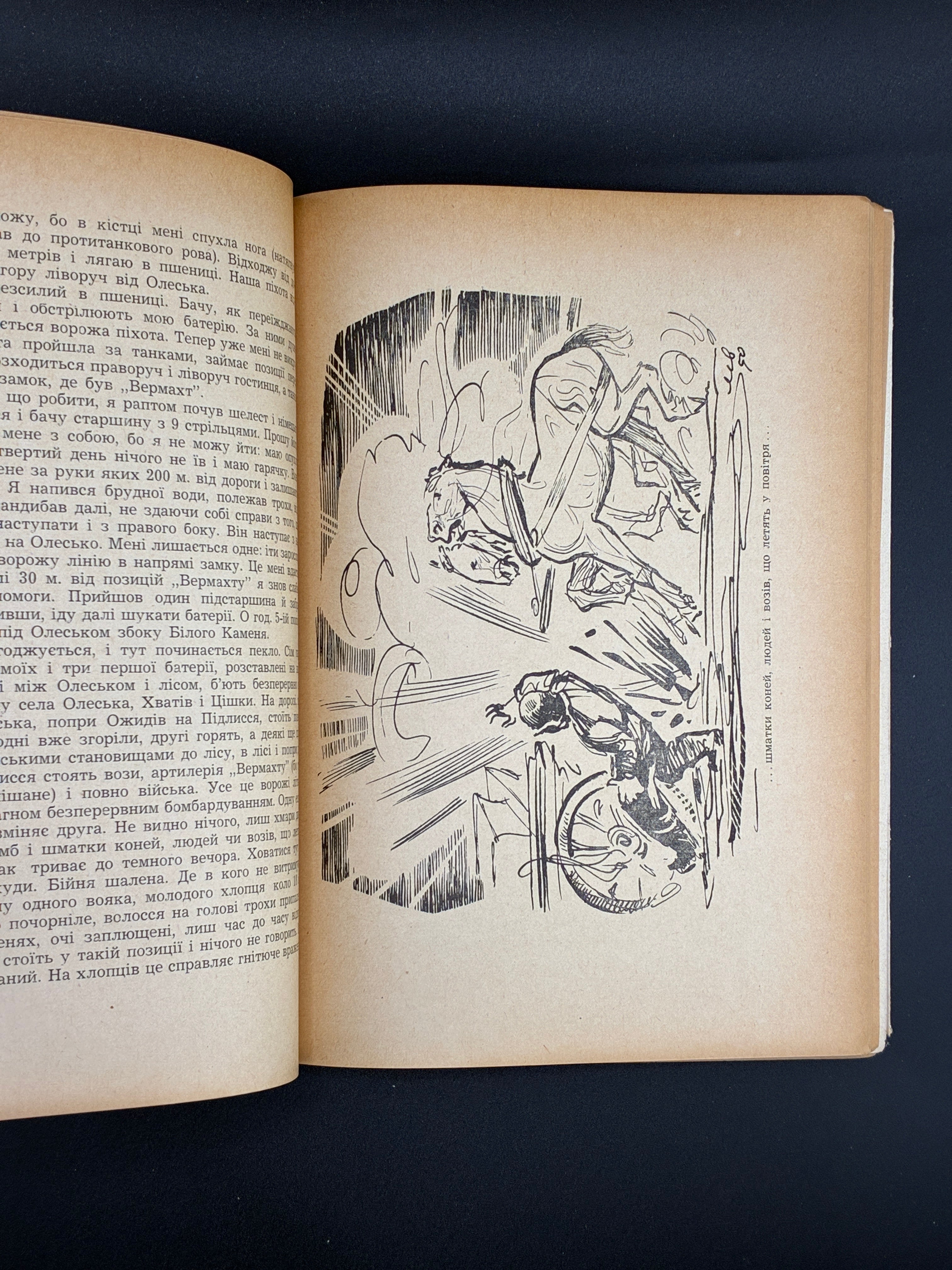 Броди. Збірник статтей і нарисів. Ред. О. Лисяк, 1951