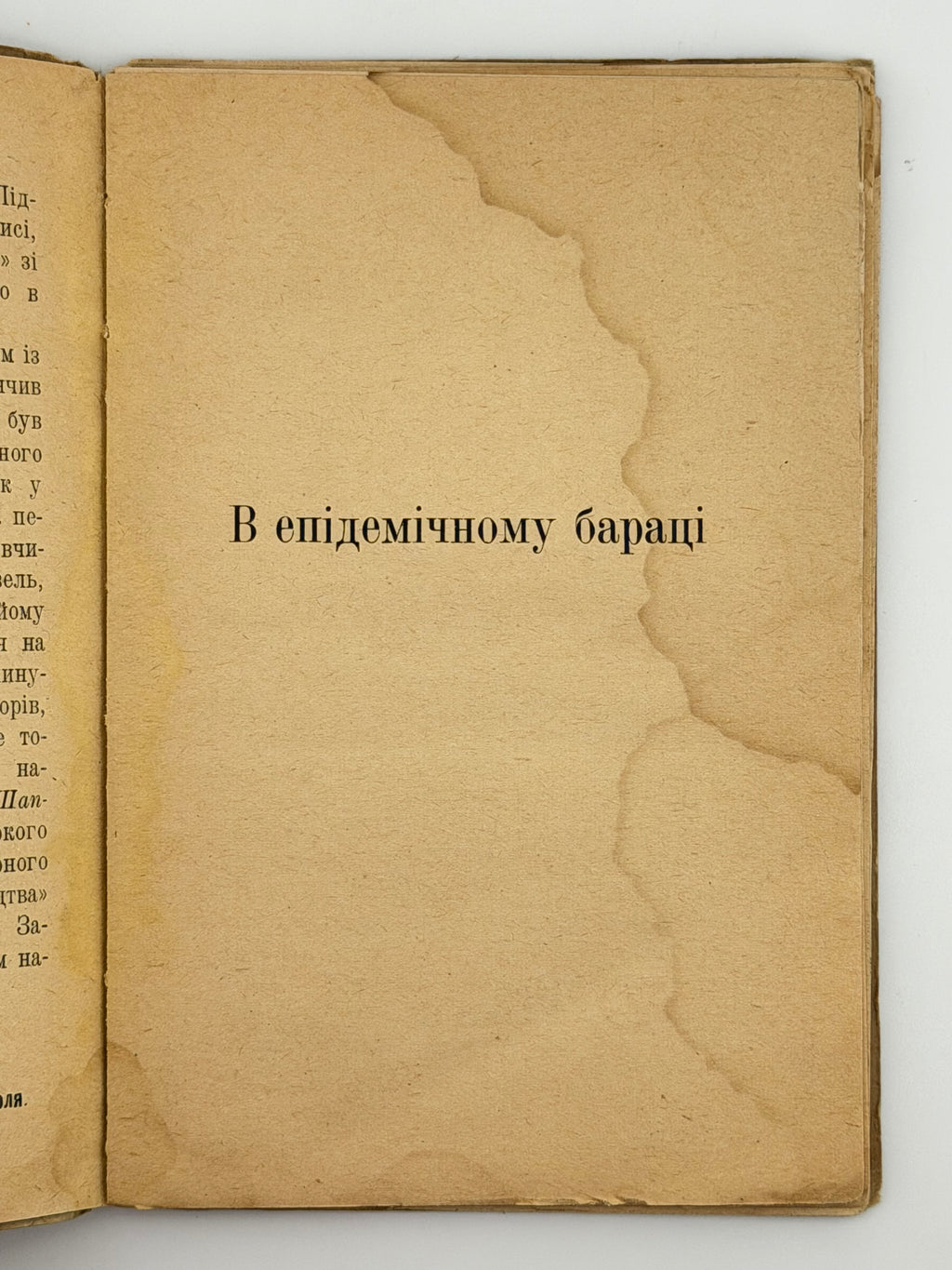 В ЕПІДЕМІЧНОМУ БАРАЦІ: НАРИС. 1922 ПІДМОГИЛЬНИЙ ВАЛЕР’ЯН