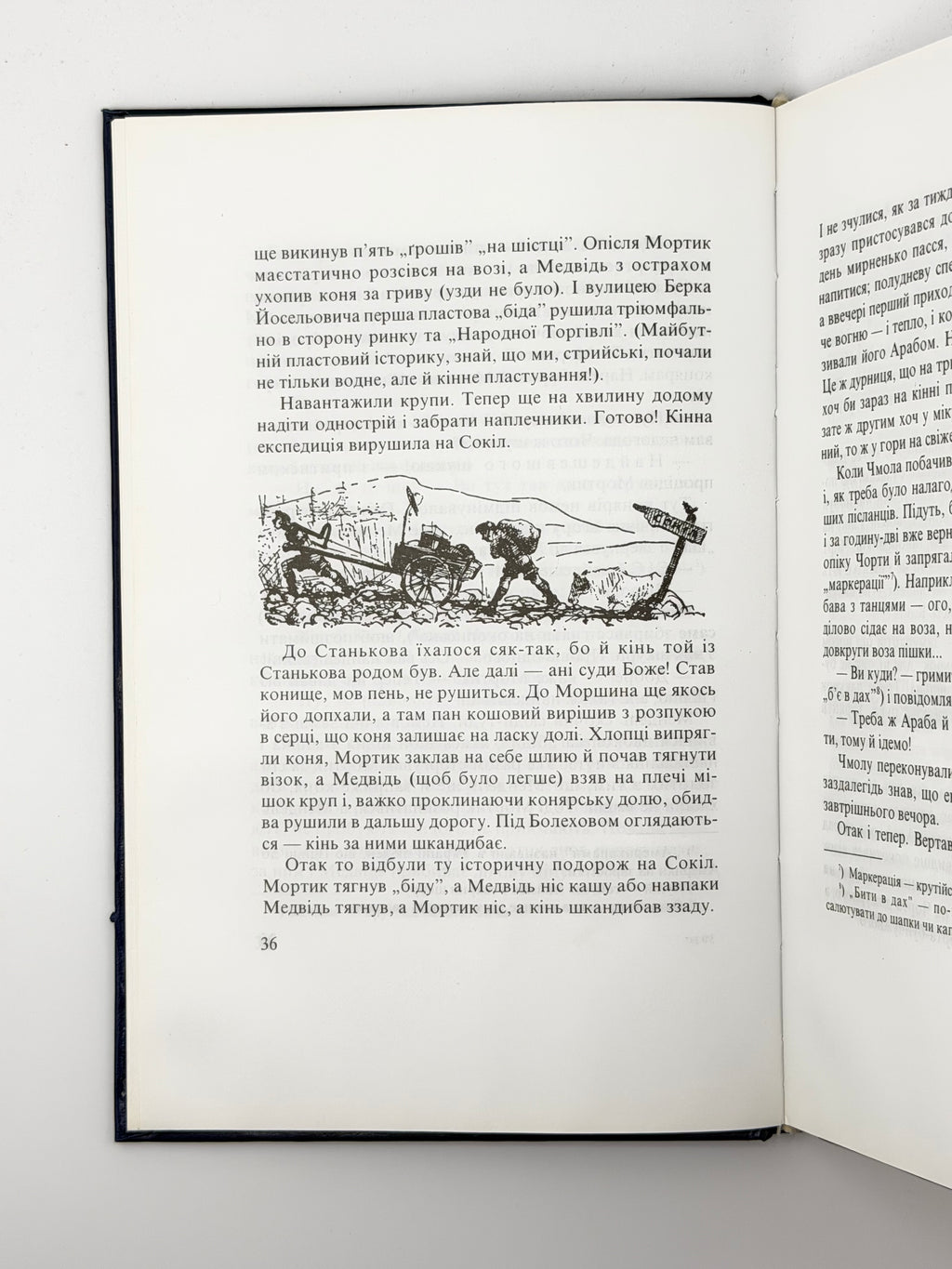 Чехут Богдан. Рідними плаями: пластові оповідання. Нью-Йорк; Київ, 2000