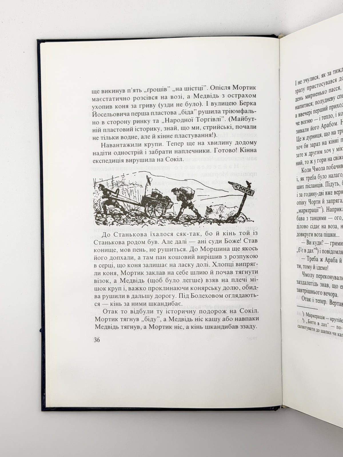 Чехут Богдан. Рідними плаями: пластові оповідання. Нью-Йорк; Київ, 2000