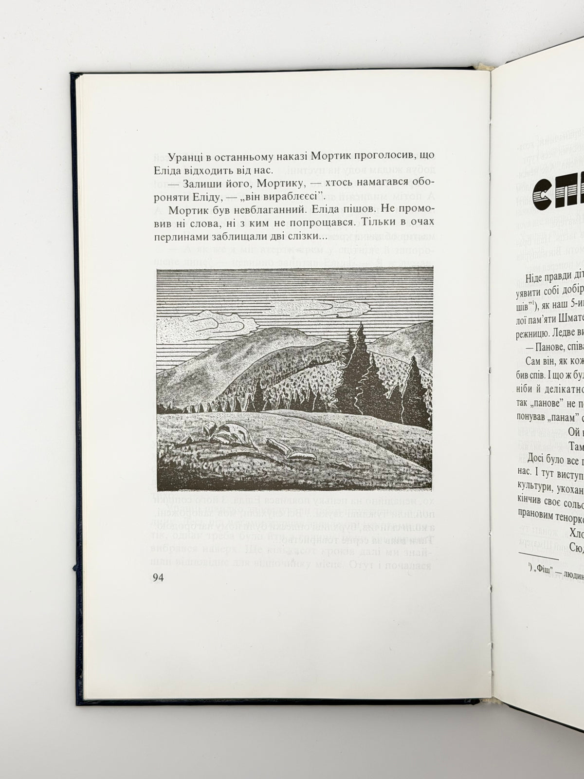 Чехут Богдан. Рідними плаями: пластові оповідання. Нью-Йорк; Київ, 2000