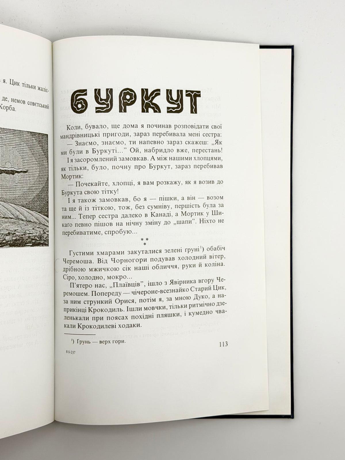 Чехут Богдан. Рідними плаями: пластові оповідання. Нью-Йорк; Київ, 2000