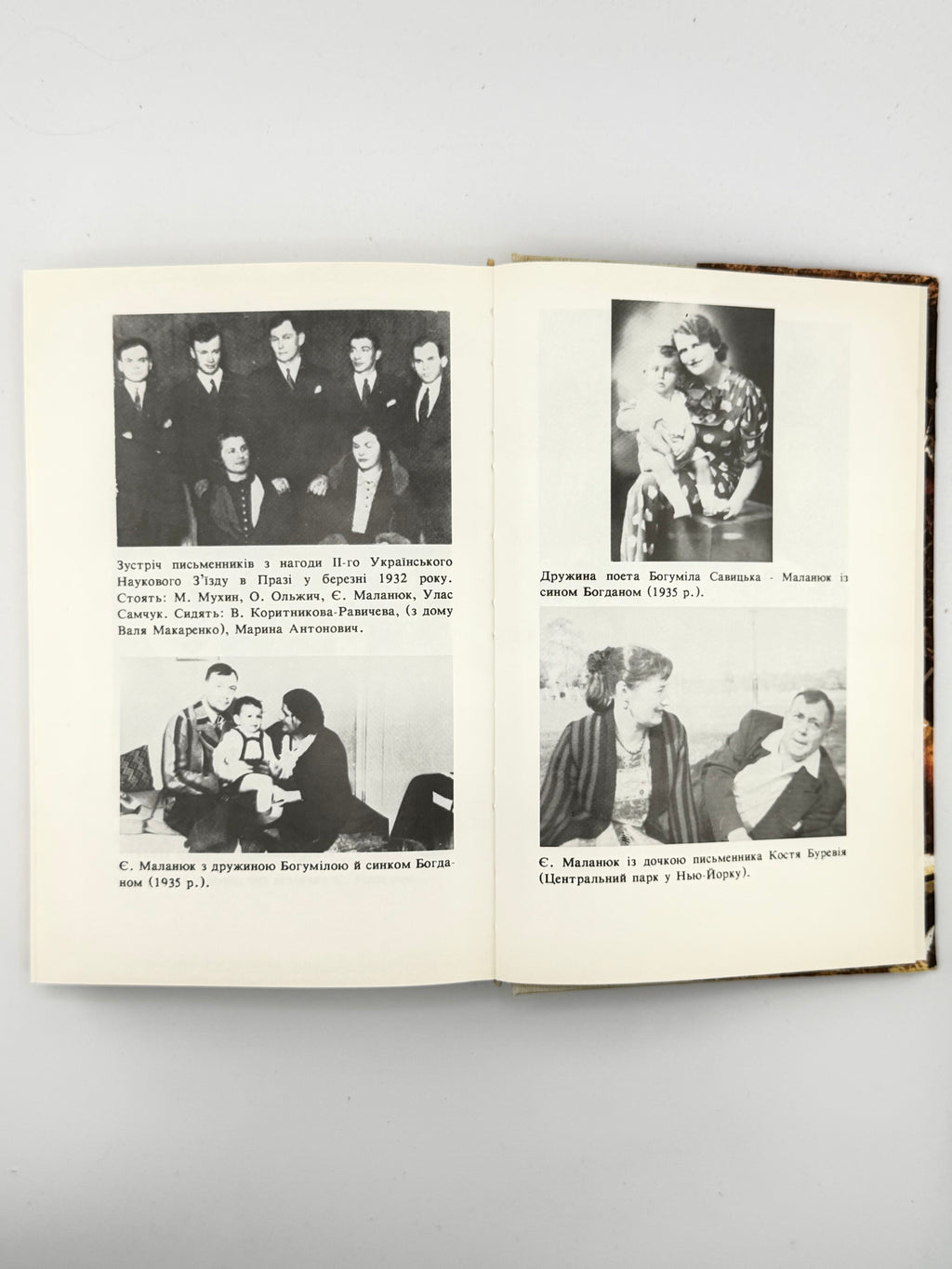 Маланюк Євген. Земна Мадонна: вибране. Братислава; Пряшів; Лондон, 1991