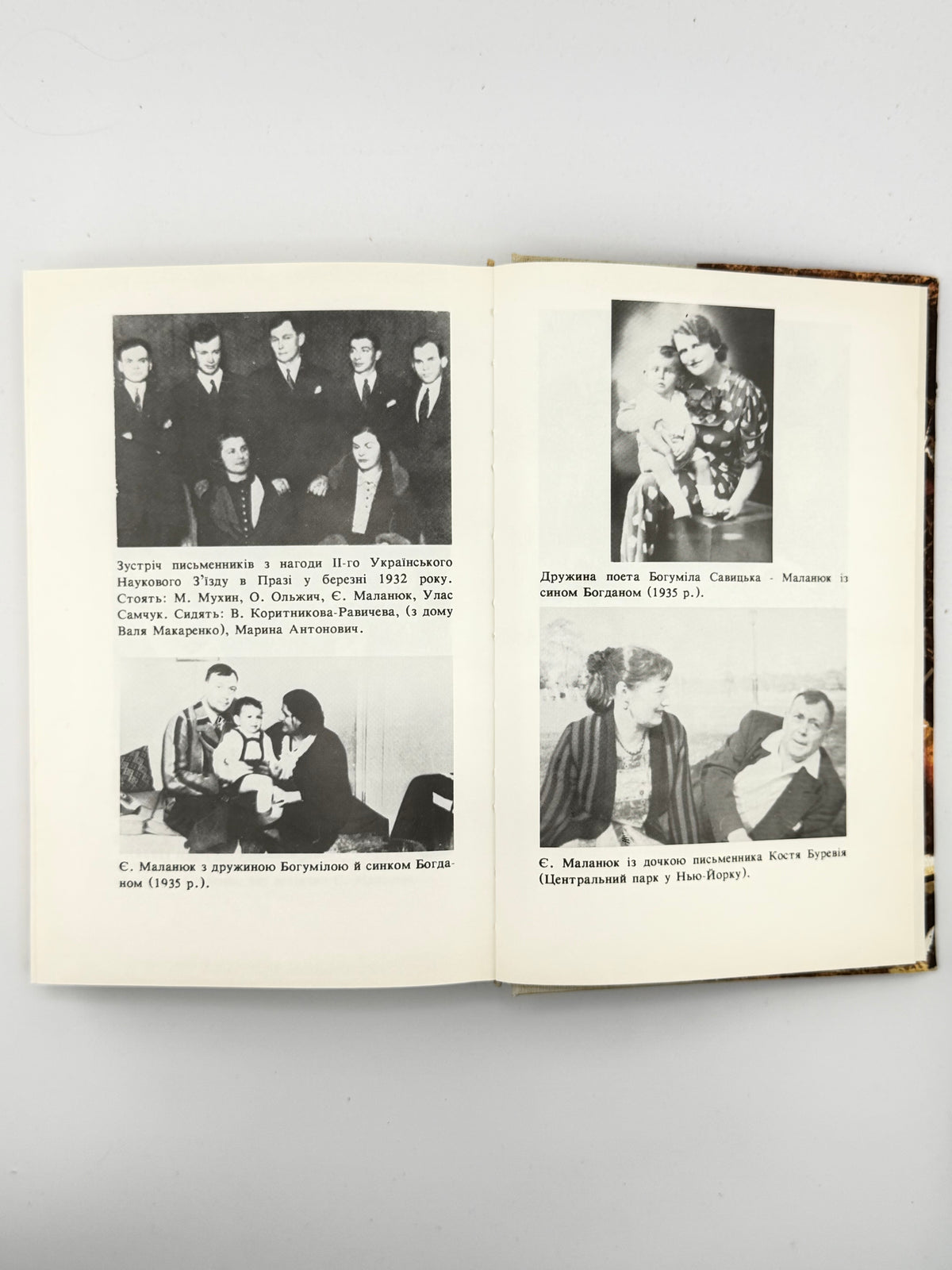 Маланюк Євген. Земна Мадонна: вибране. Братислава; Пряшів; Лондон, 1991