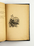 Лозинський Михайло. Любов-туга. Чернівці, 1901