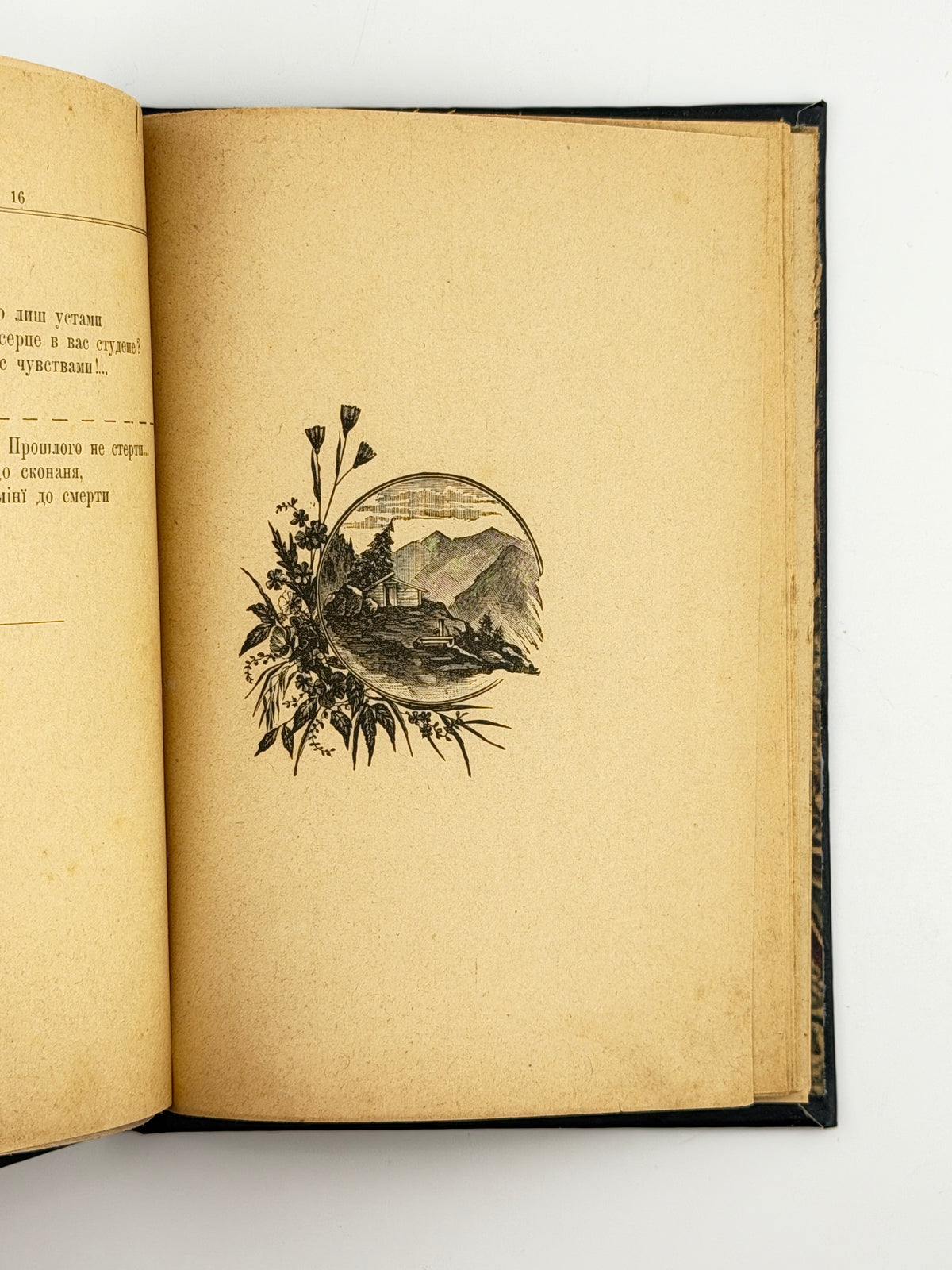 Лозинський Михайло. Любов-туга. Чернівці, 1901