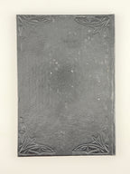 Лозинський Михайло. Любов-туга. Чернівці, 1901