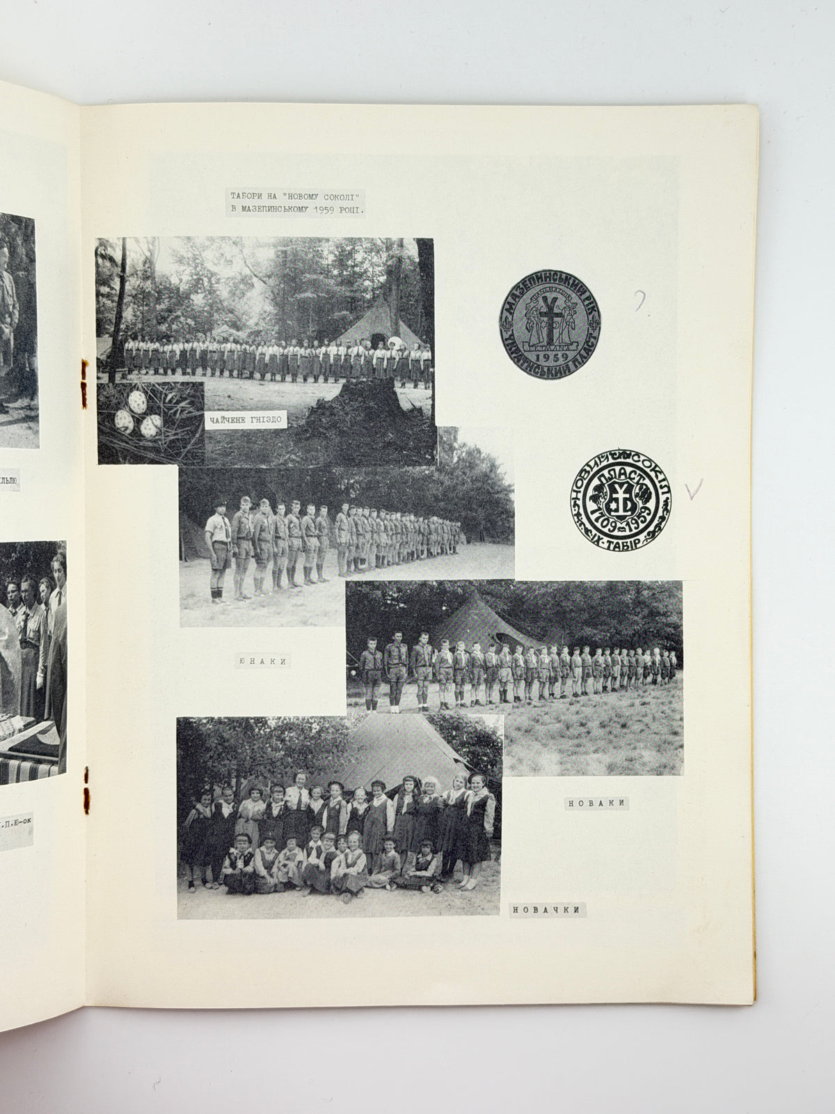 Новий Сокіл — Х-ліття: одноднівка. Баффало, 1960