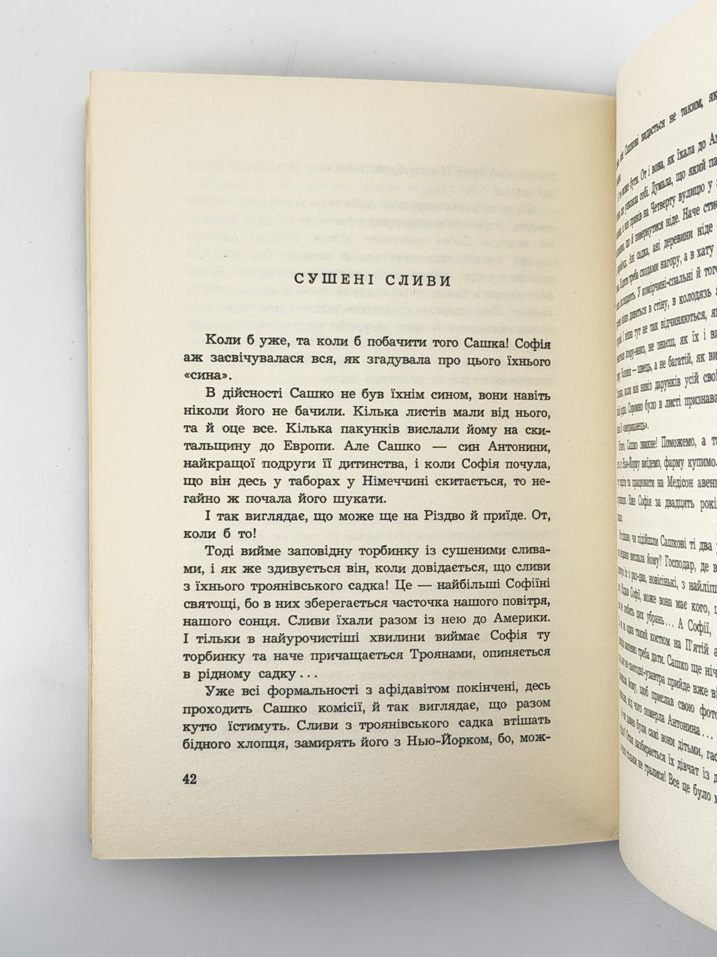 Гуменна Докія. Серед хмаросягів: нью-йоркська мозаїка. Нью-Йорк, 1962