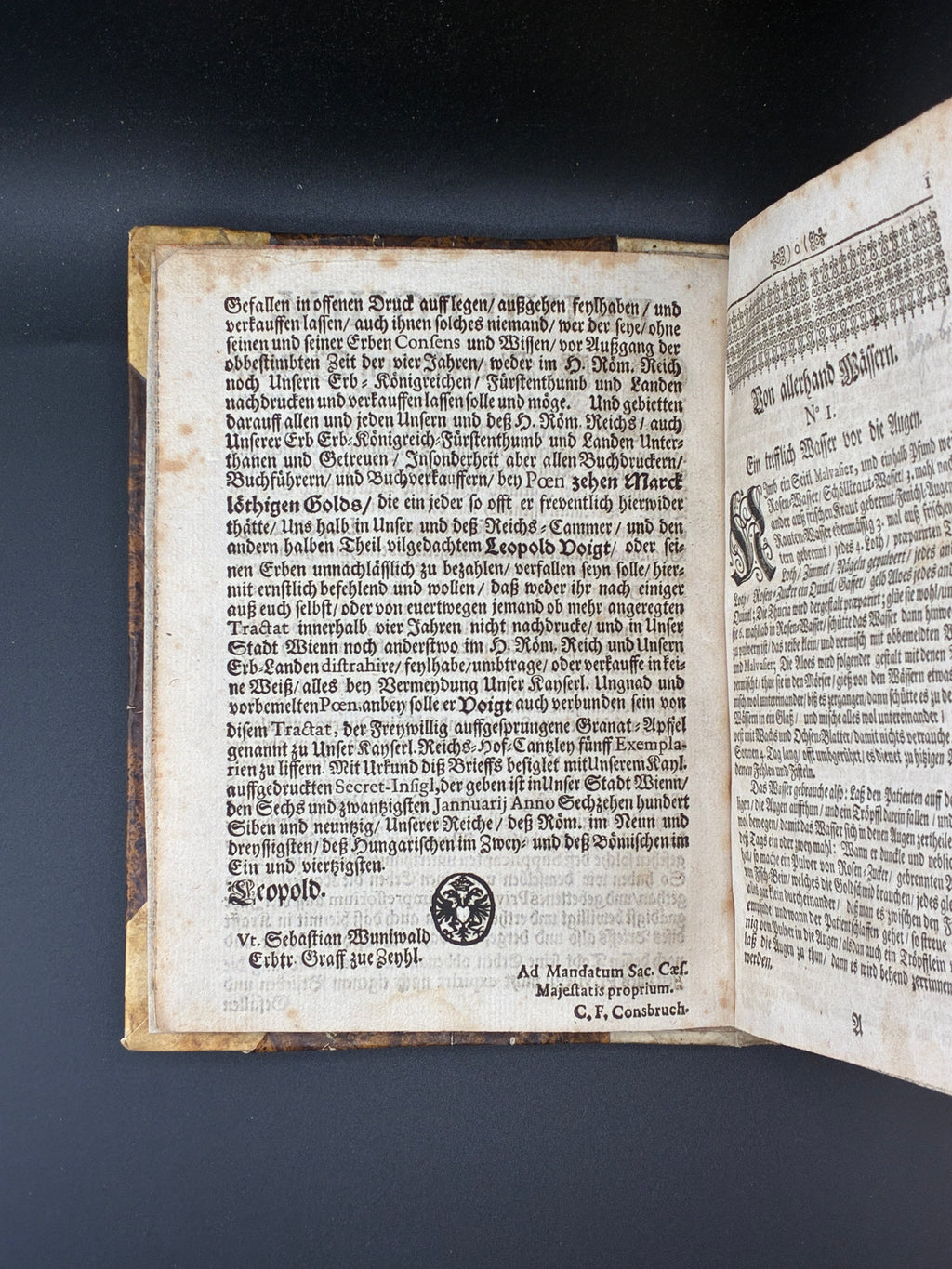 Шість книг обраних лікарів. З більш ніж 1800 рецептами ліків. Widmannstetterische Herben, 1697